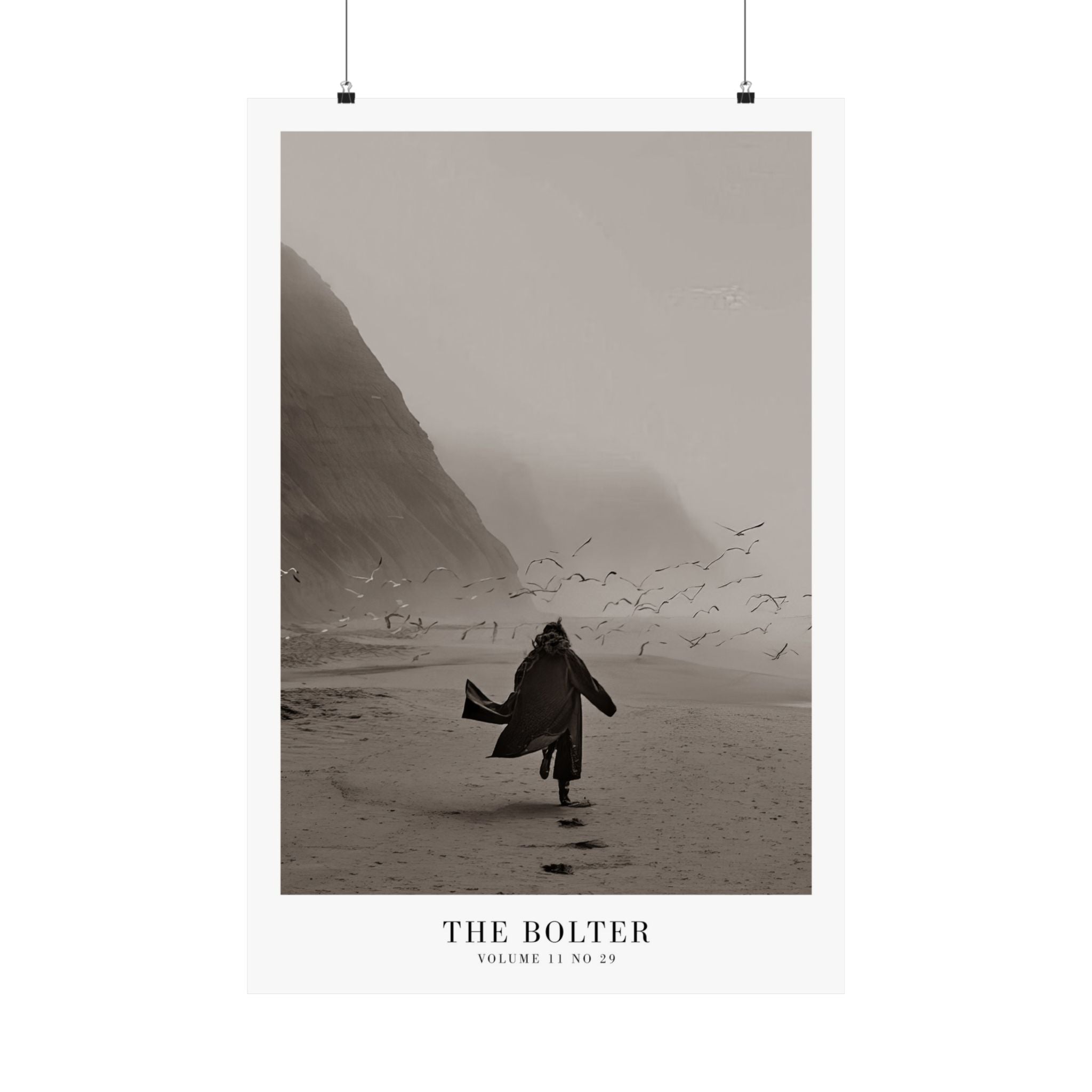 The Bolter Tortured Poets Department Taylor Swift–inspired poster featuring beach