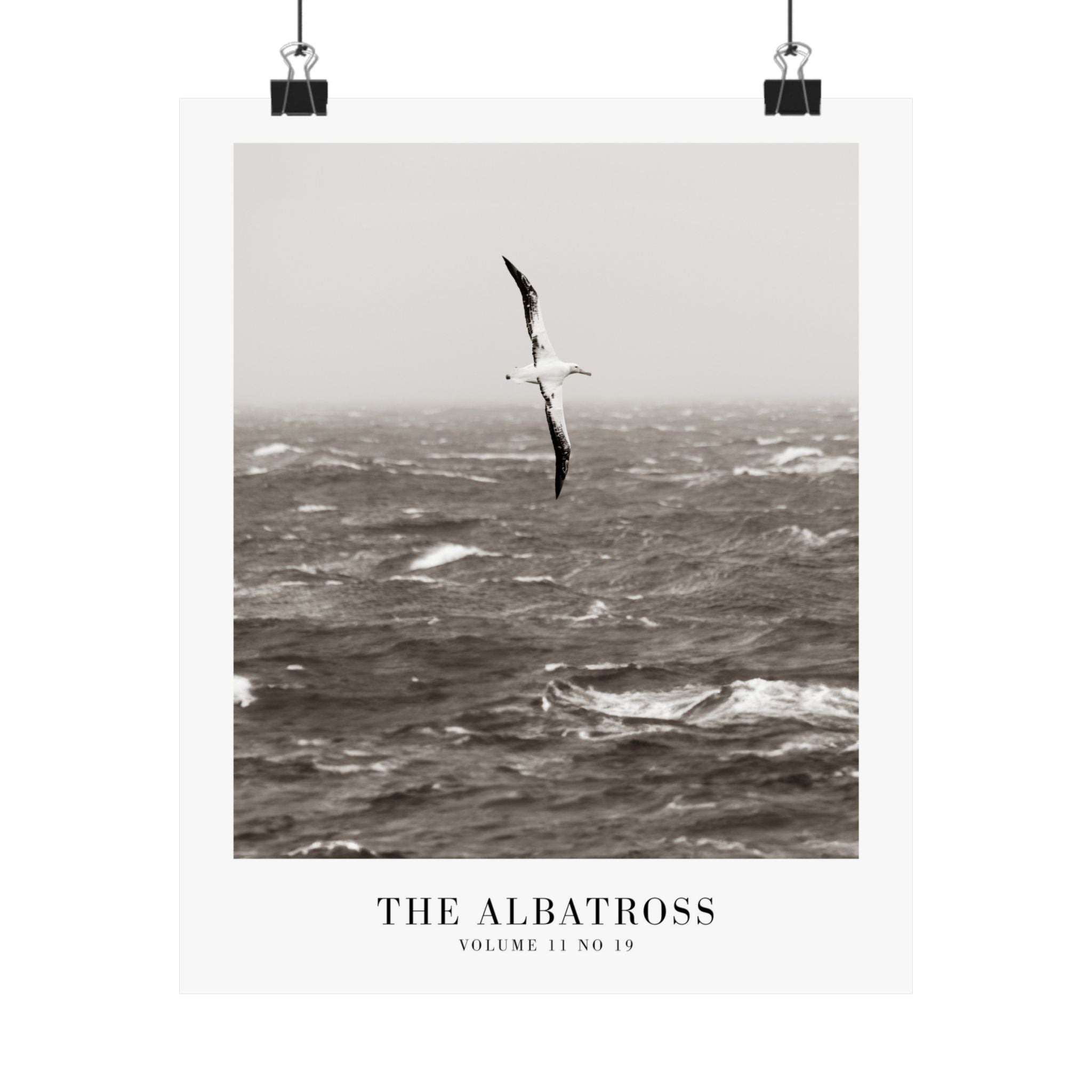 The Albatross Tortured Poets Department Taylor Swift–inspired poster ocean