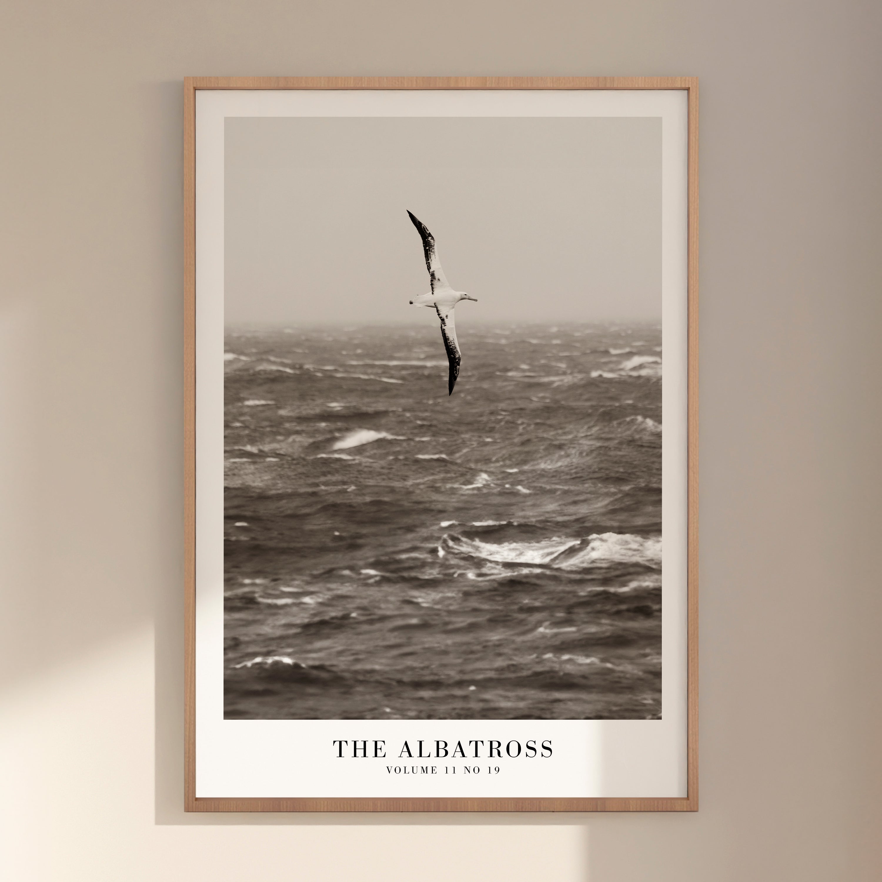The Albatross Ocean Taylor Swift poster in dark academia gallery