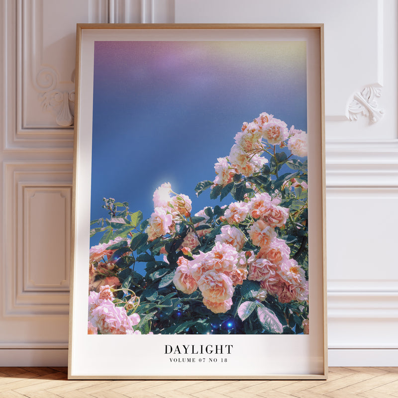 Daylight Lover Taylor Swift poster featuring dreamy pastel pink roses