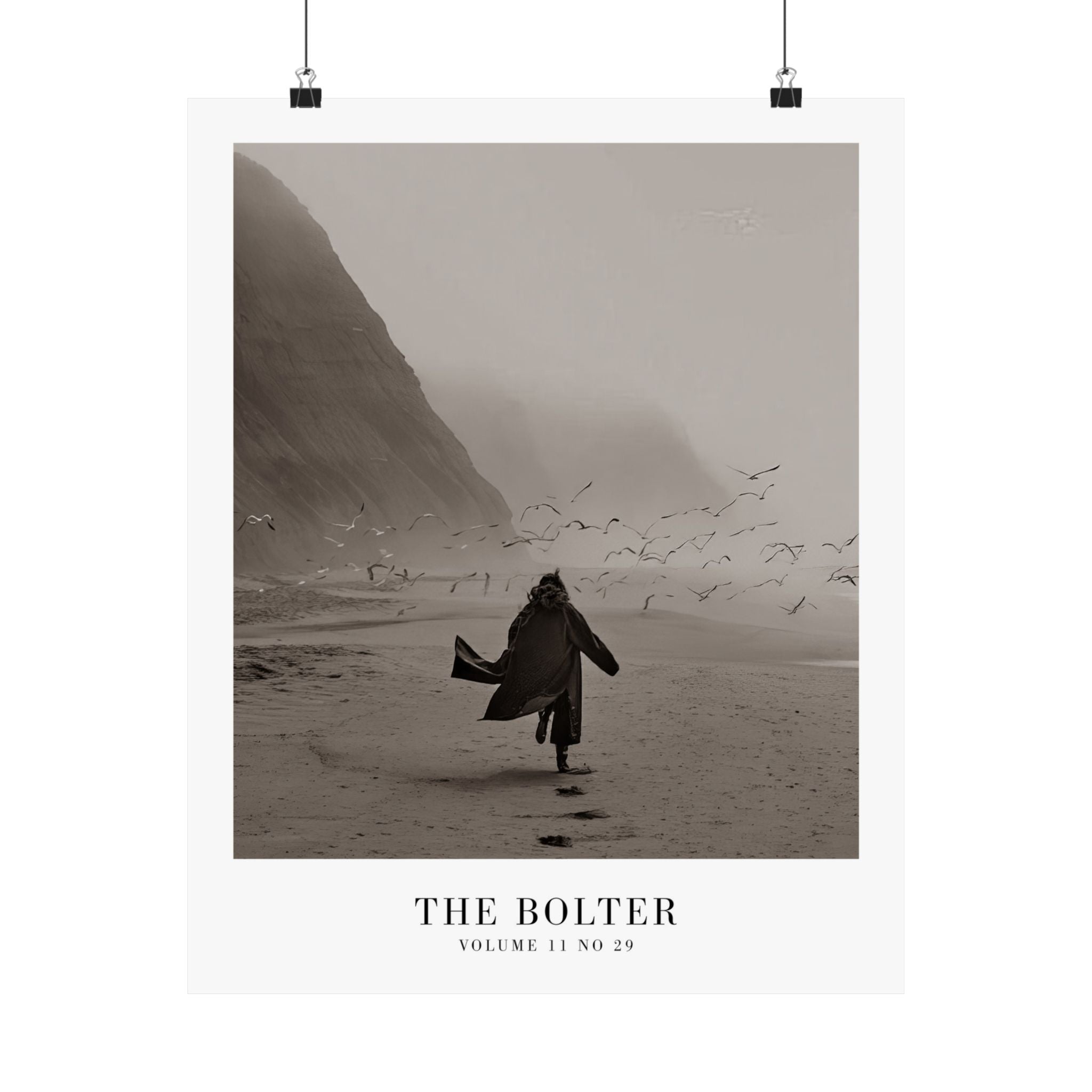 The Bolter Tortured Poets Department Taylor Swift–inspired poster featuring beach