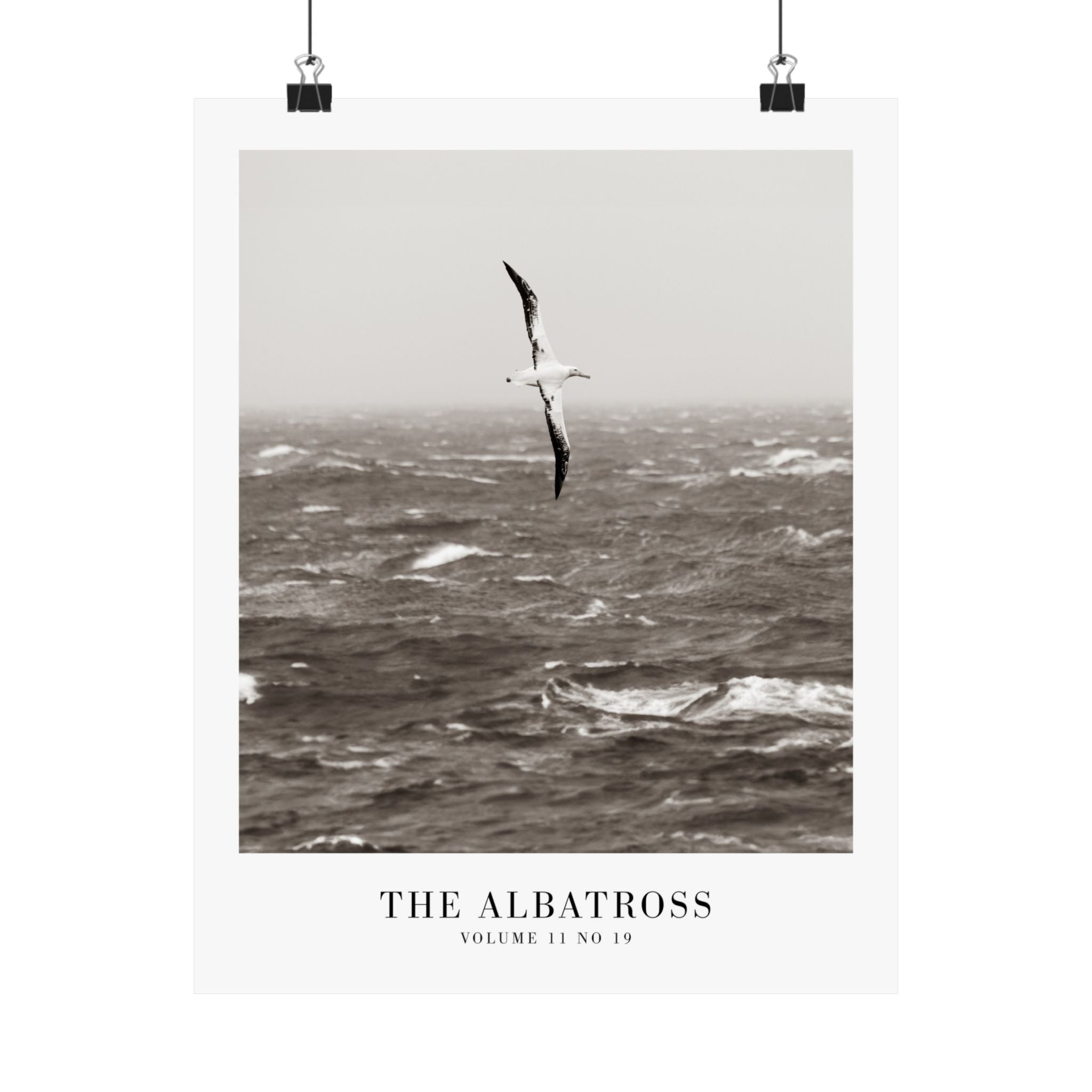 The Albatross Tortured Poets Department Taylor Swift–inspired poster ocean
