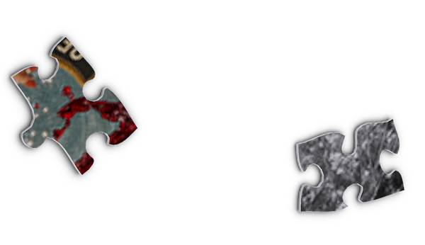 Find Your <em>Perfect Puzzle</em>