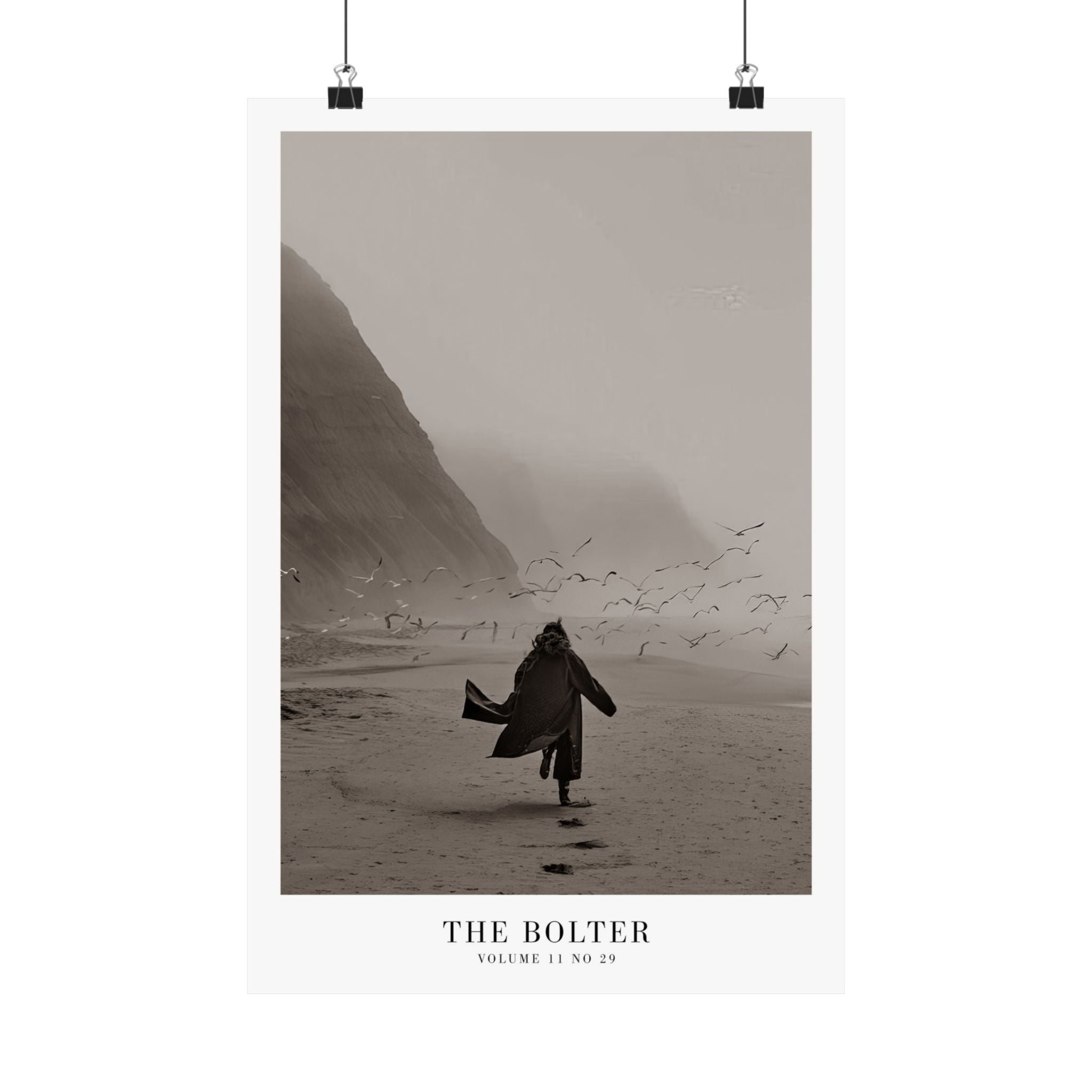 The Bolter Tortured Poets Department Taylor Swift–inspired poster featuring beach