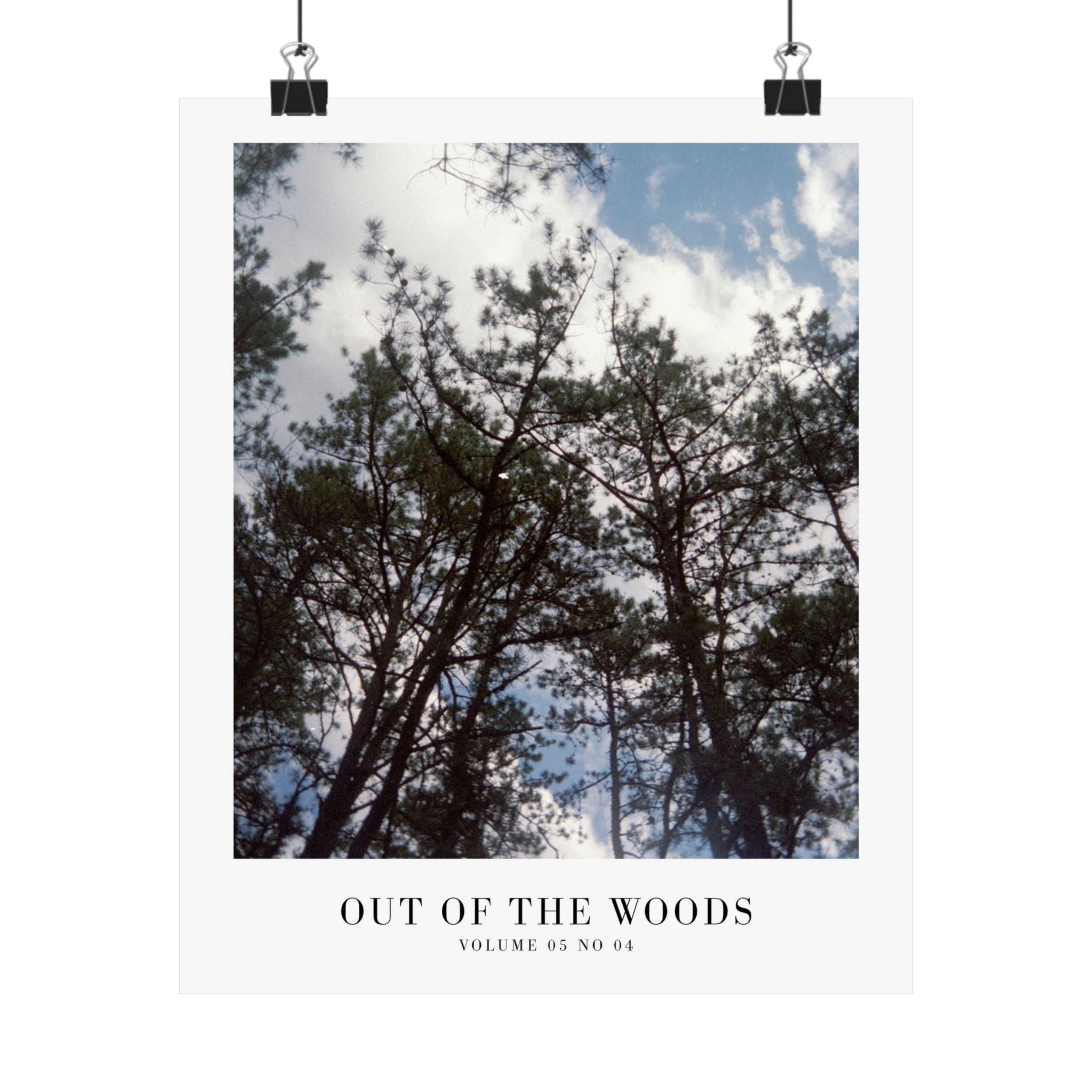 Out of the Woods Taylor Swift print displayed in earthy Swiftie bedroom