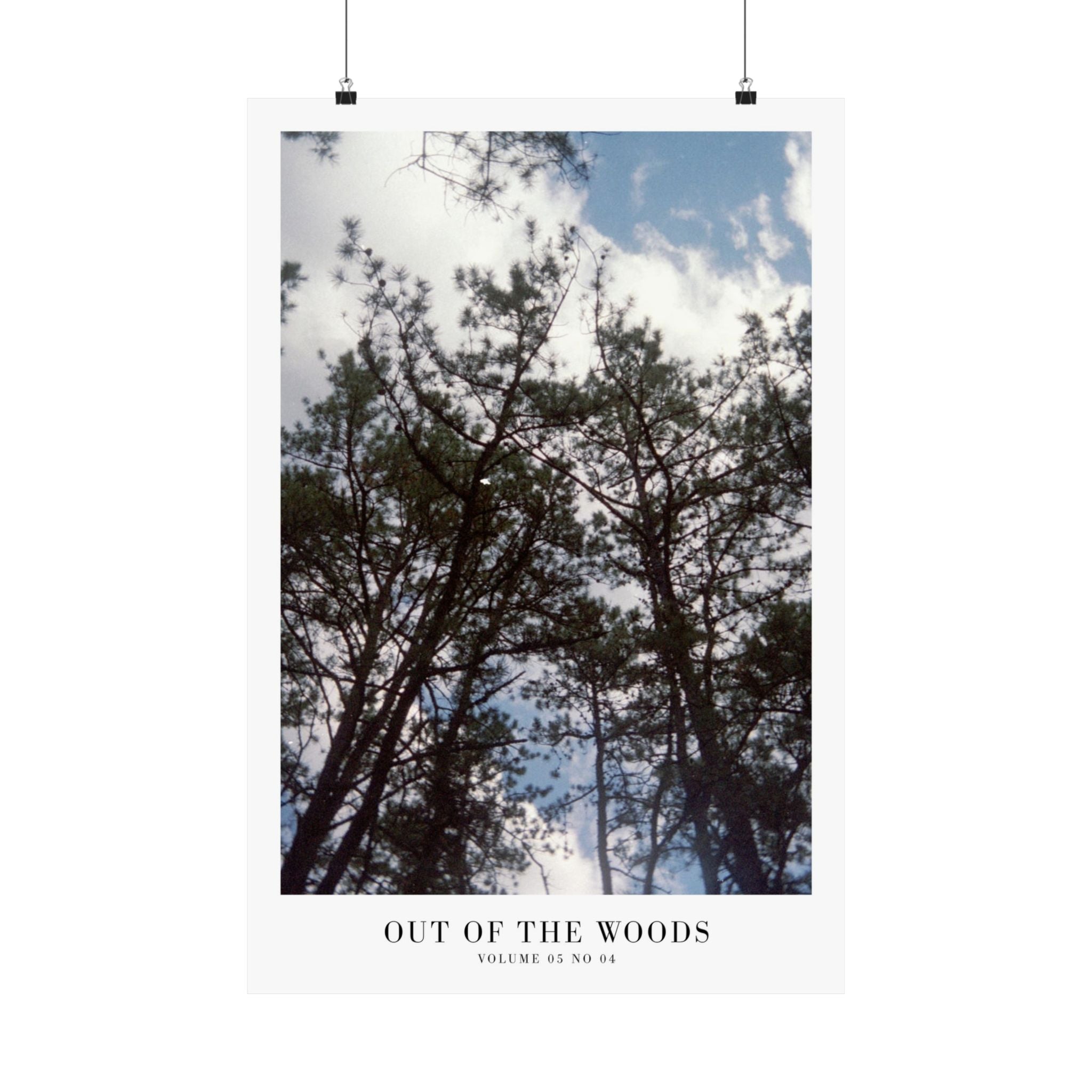 Out of the Woods 1989 wall art in earthy feminine apartment styling