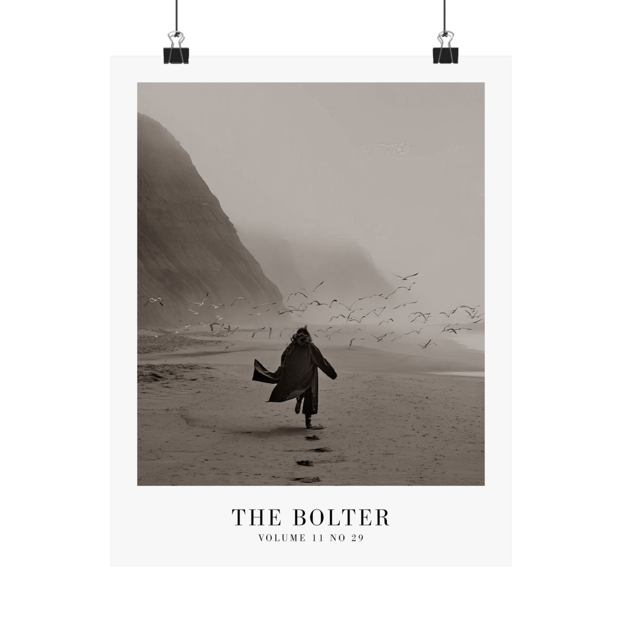 The Bolter Tortured Poets Department Taylor Swift–inspired poster featuring beach