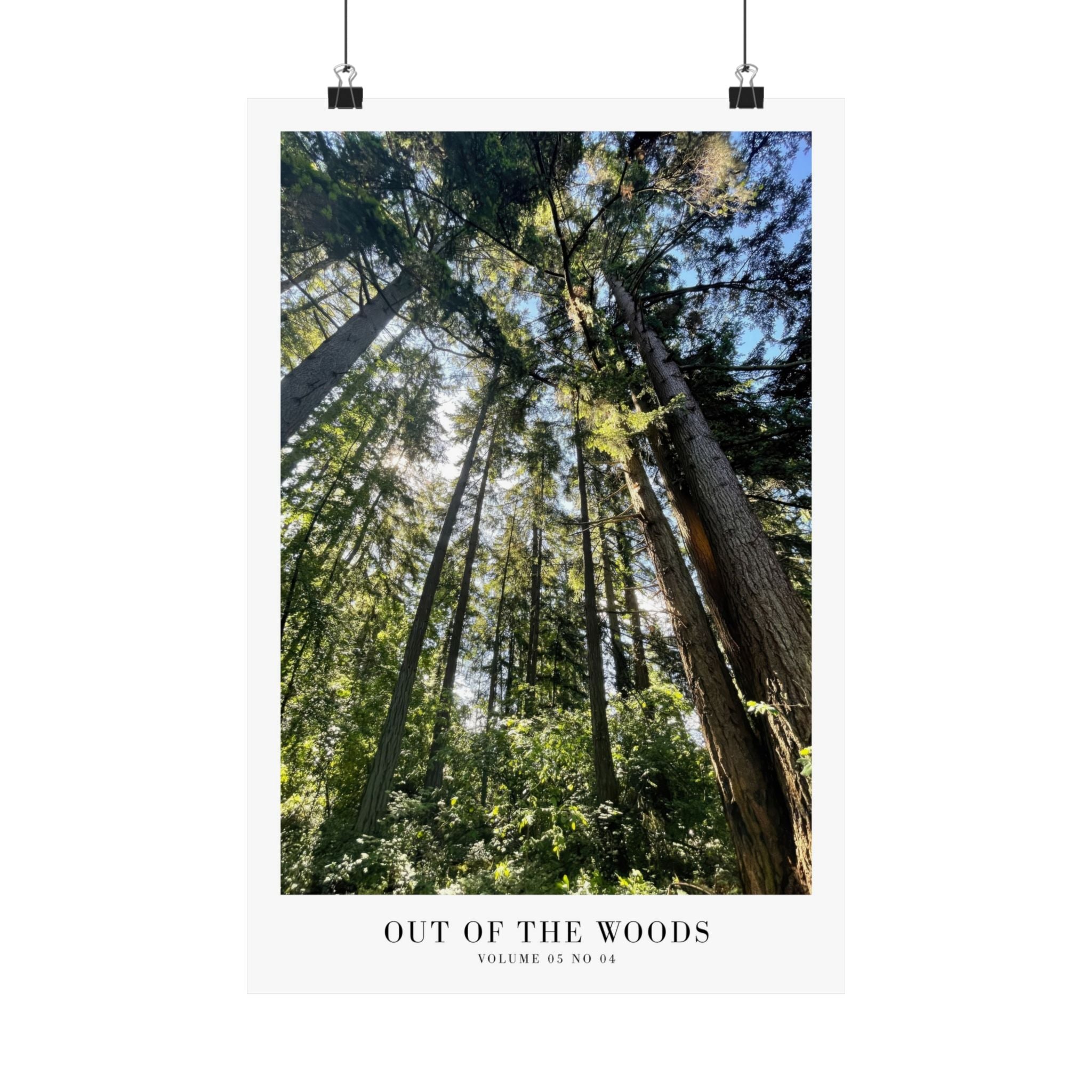 Out of the Woods 1989 pine tree print in calming earthy apartment
