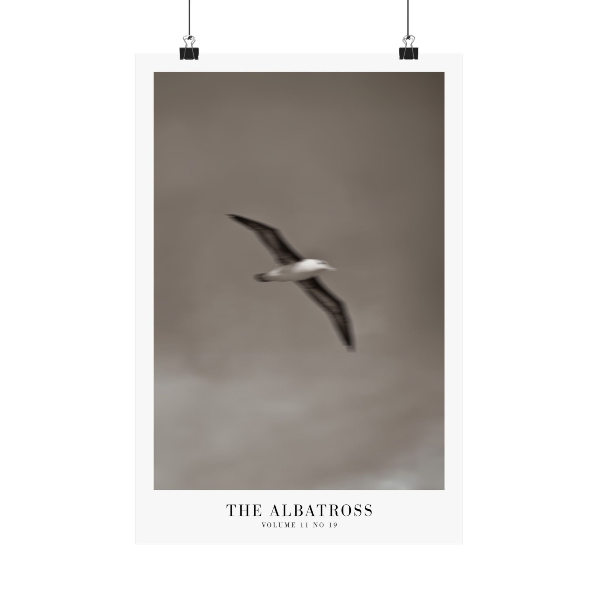 The Albatross Tortured Poets Department Taylor Swift–inspired poster — detail view 4