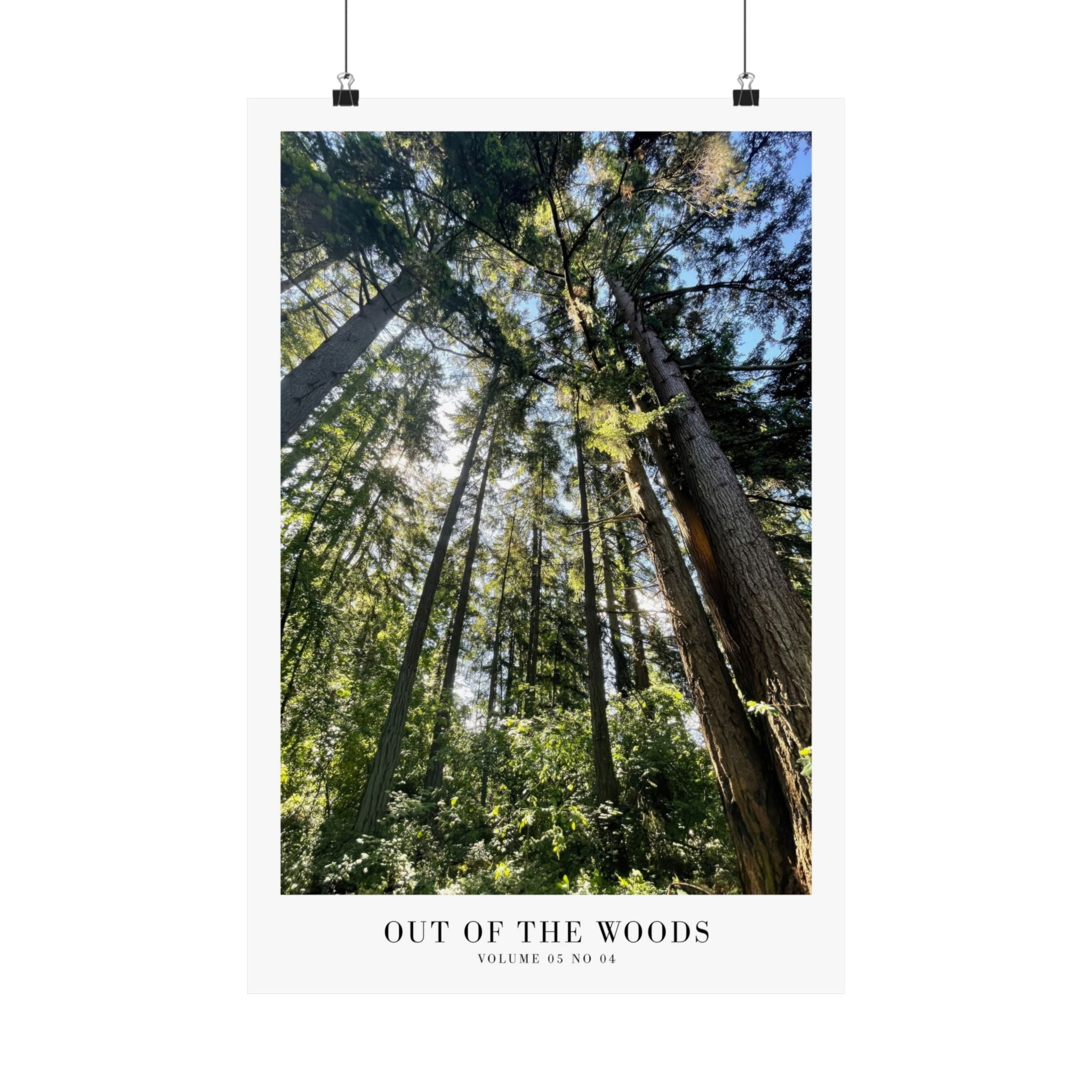 1989 Out of the Woods forest print displayed in feminine gallery wall