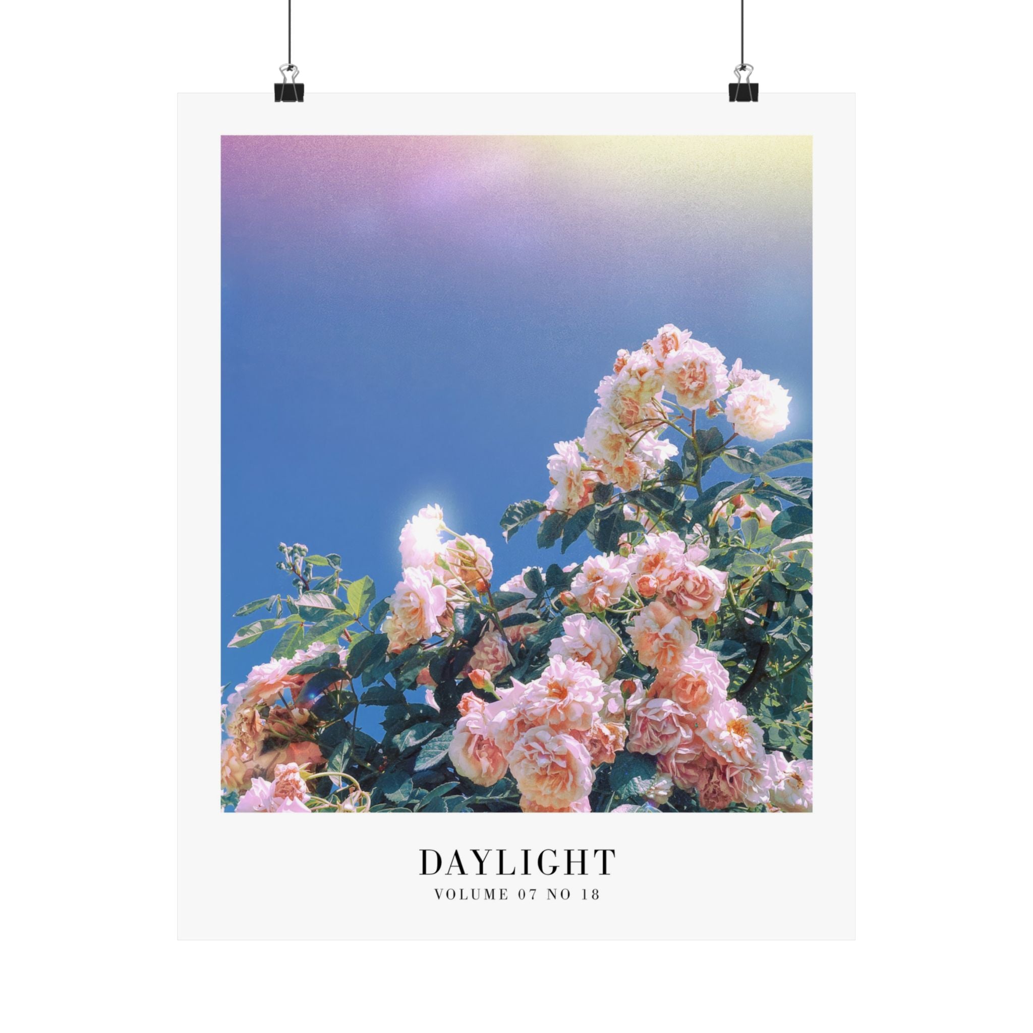 Daylight rose wall art in cozy whimsical Swiftie gallery wall