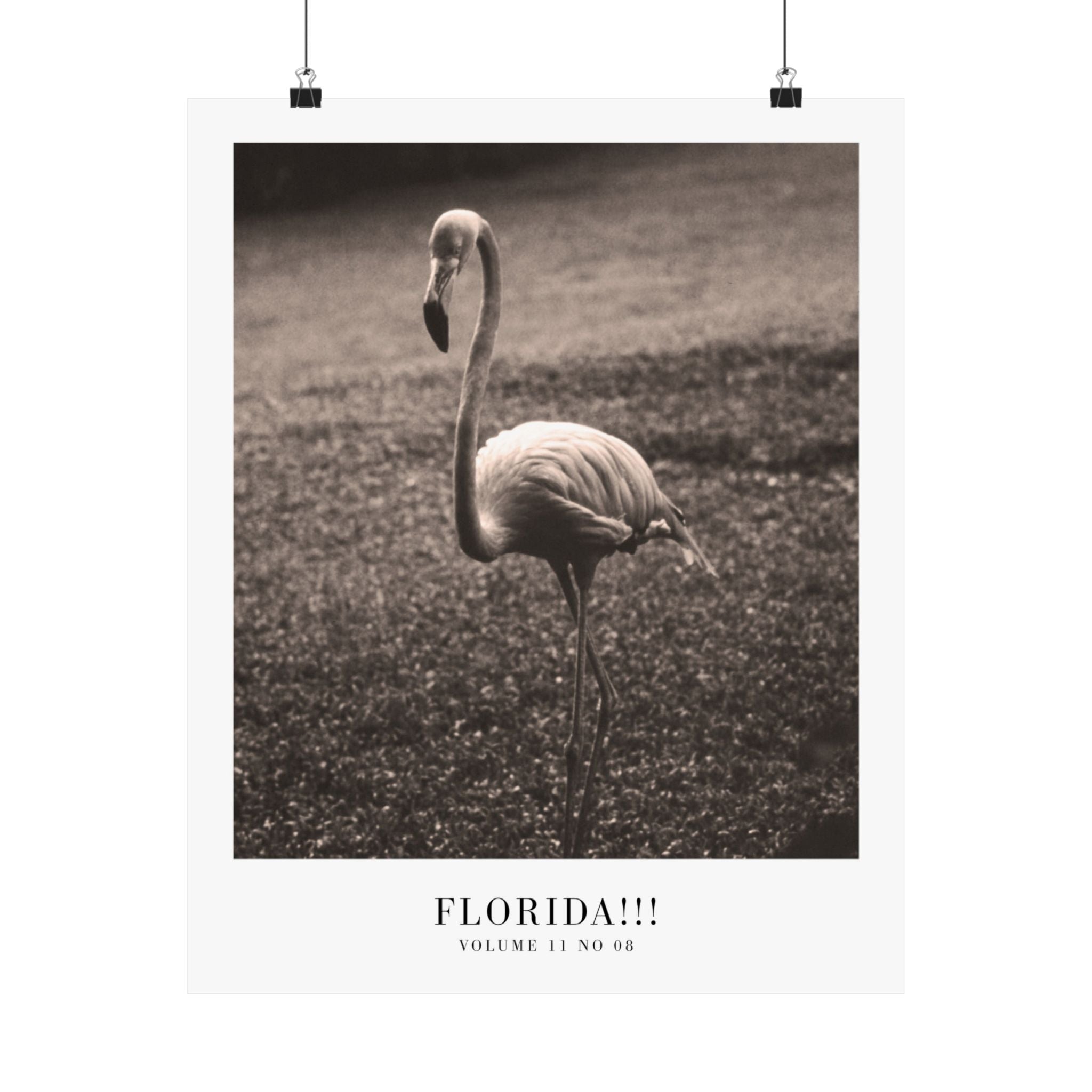 Florida!!! Tortured Poets Department Taylor Swift–inspired poster — detail view 4