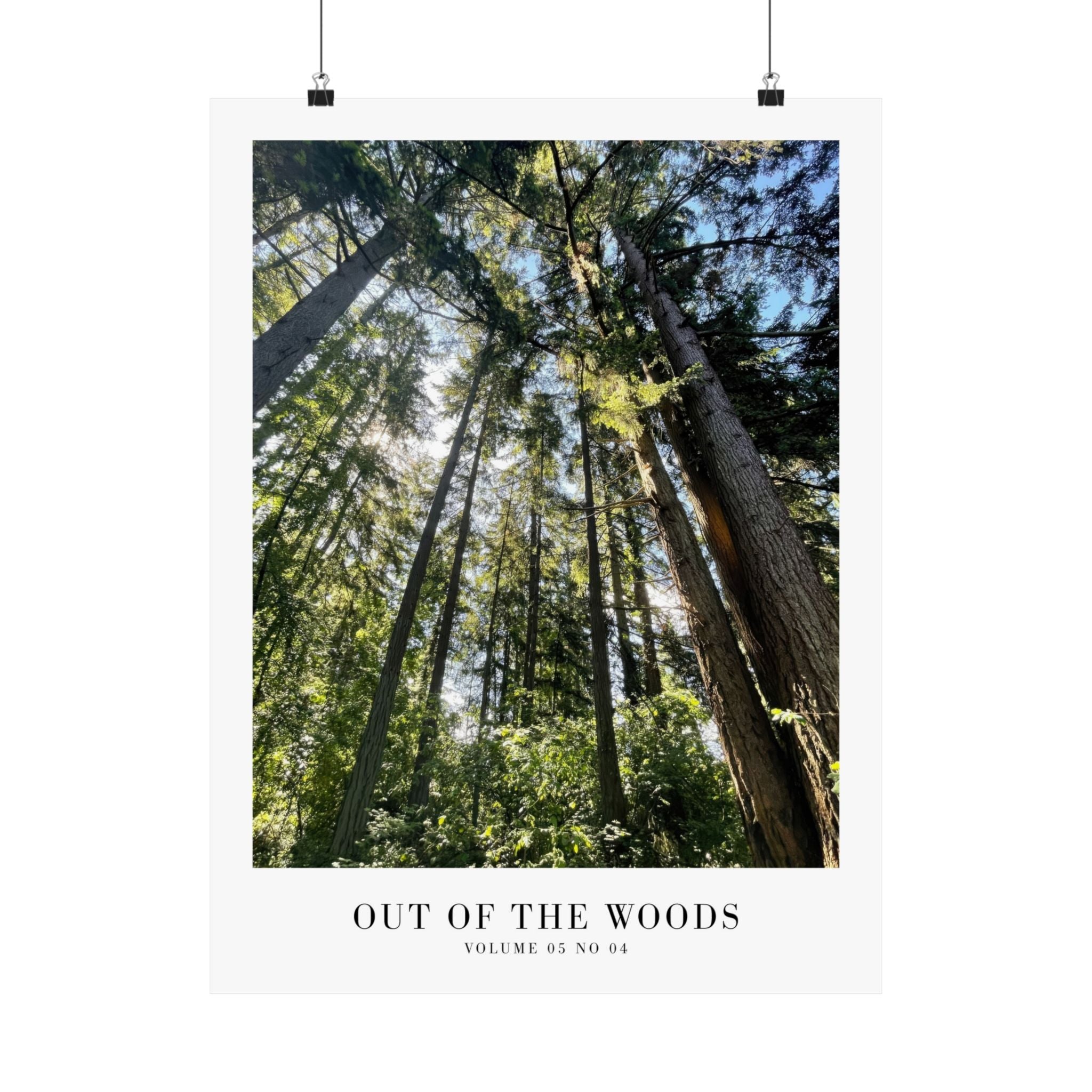 Out of the Woods Taylor Swift woodland poster in serene minimalist bedroom