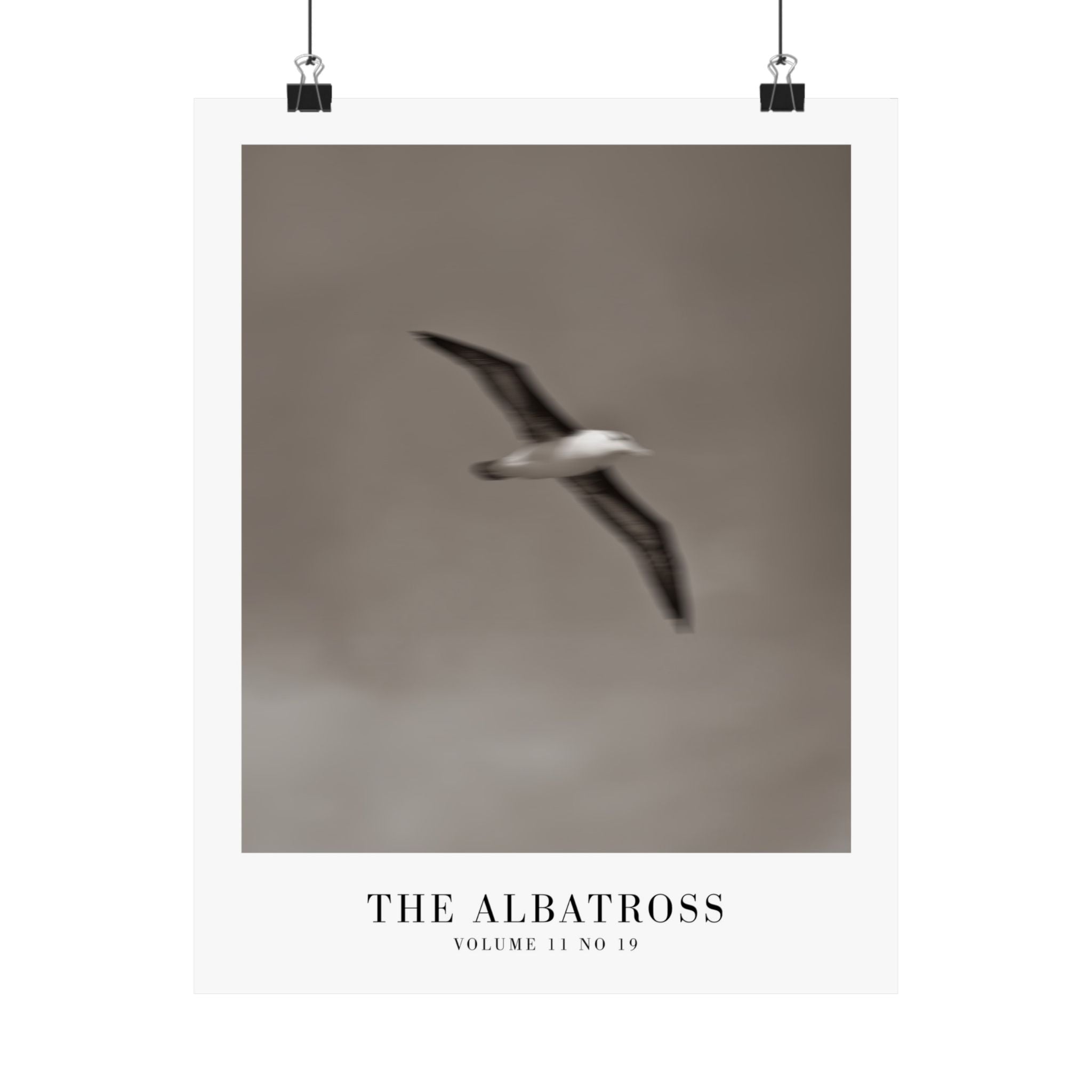 The Albatross Tortured Poets Department Taylor Swift–inspired poster — detail view 2