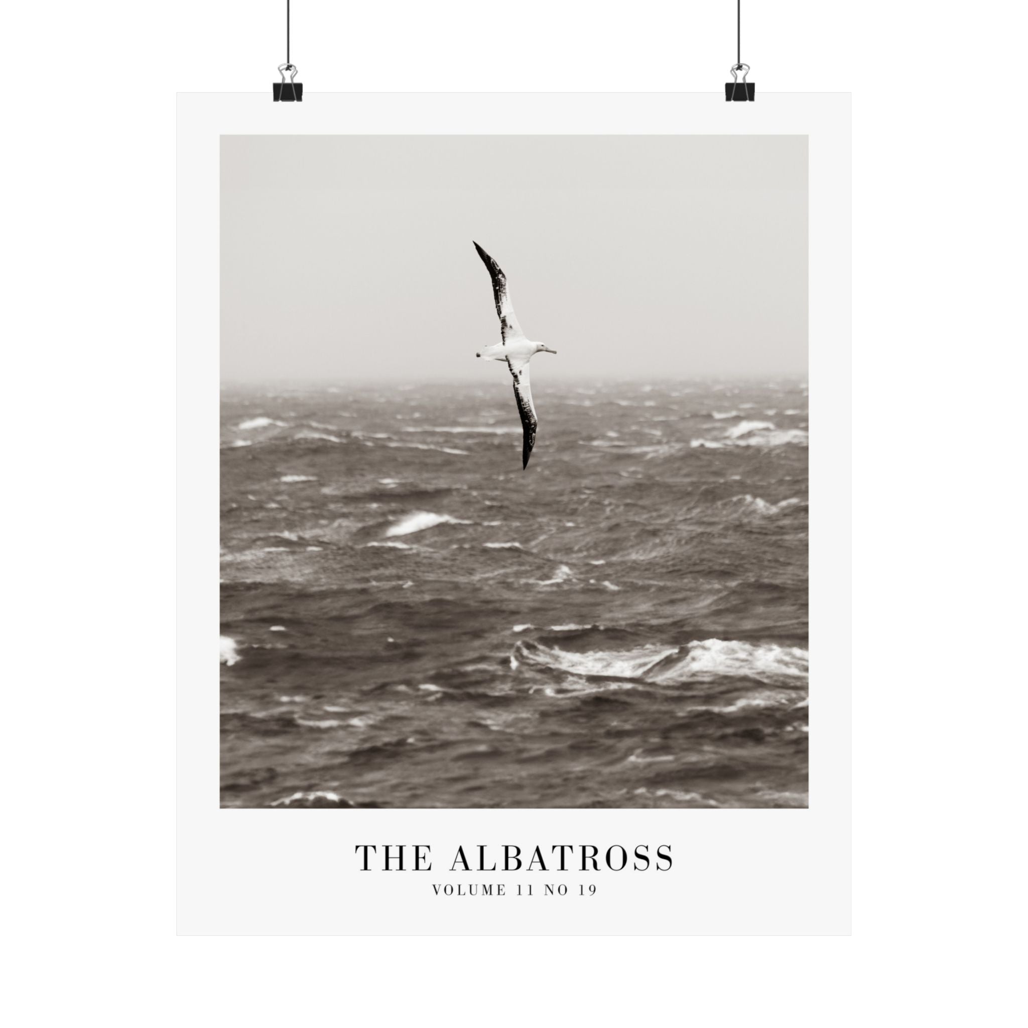 The Albatross Tortured Poets Department Taylor Swift–inspired poster ocean