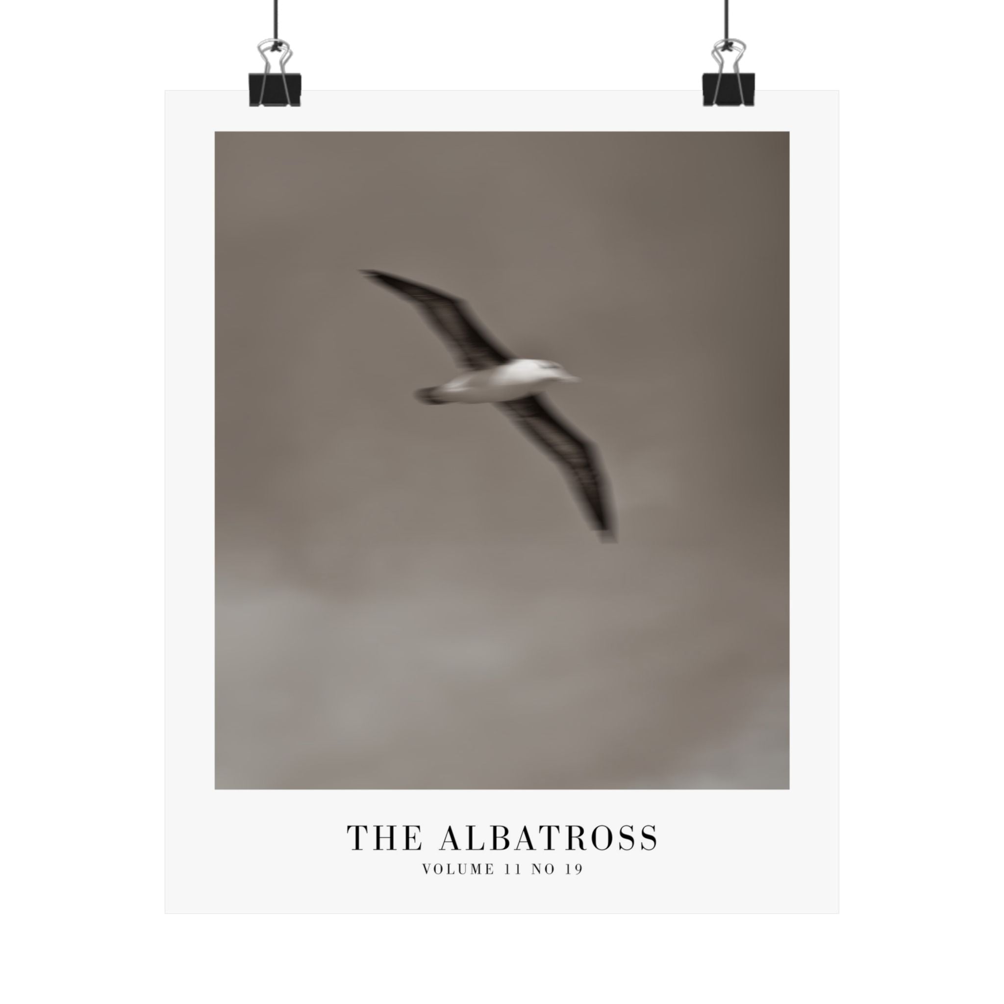The Albatross Tortured Poets Department Taylor Swift–inspired poster — detail view 1