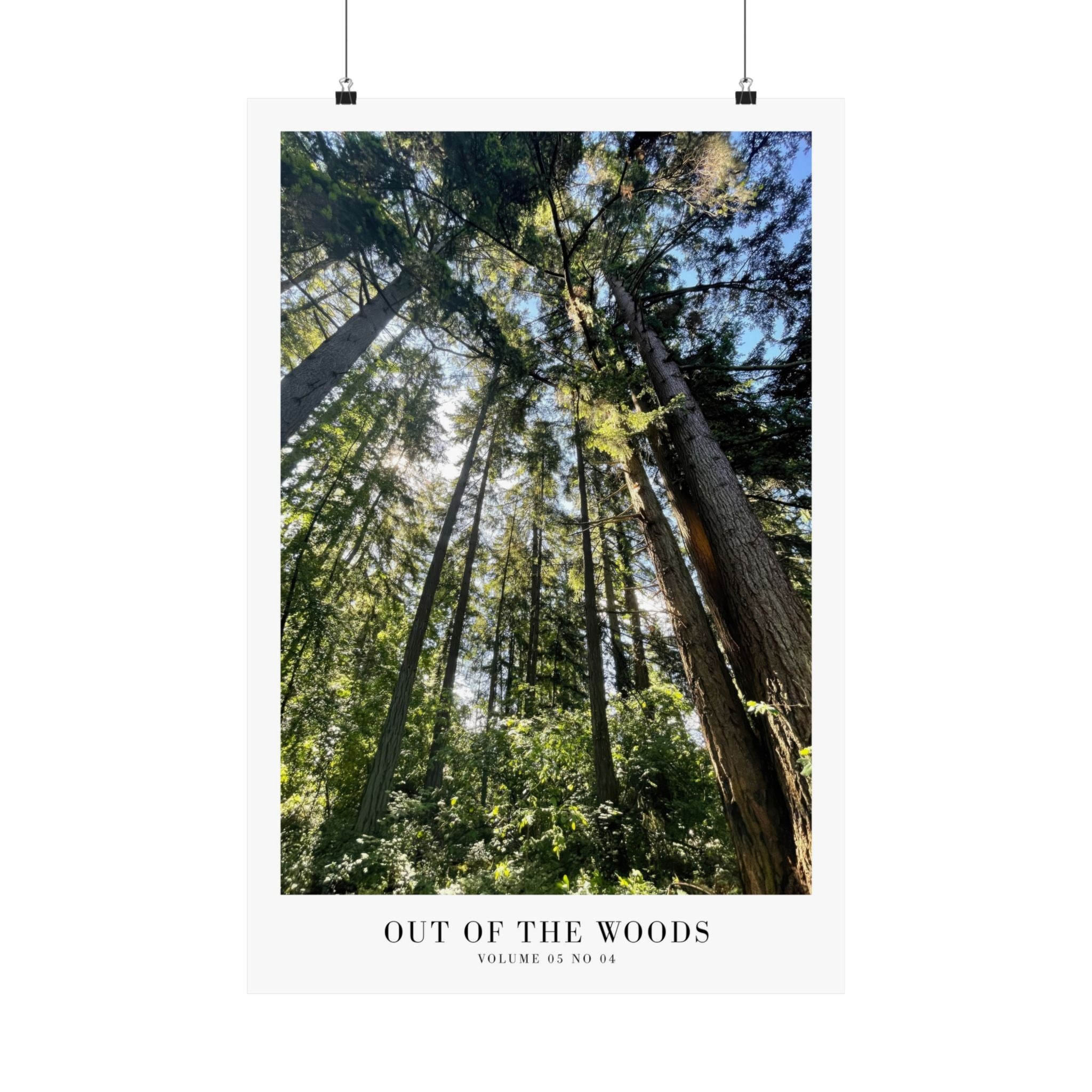 Out of the Woods 1989 wall art in earthy nature-inspired dorm room