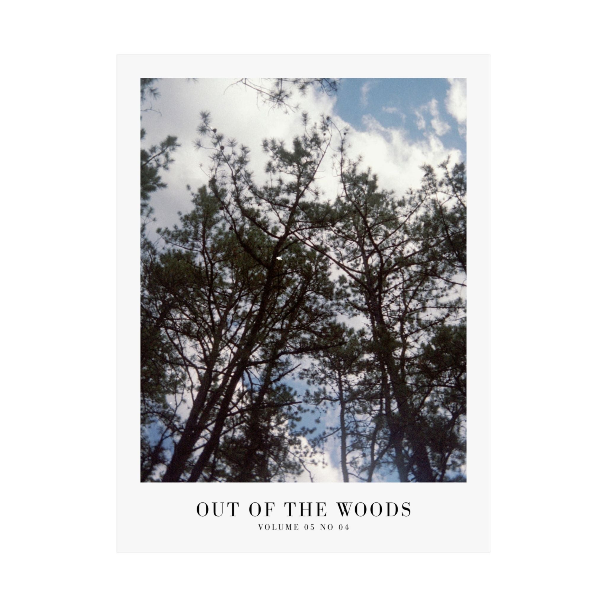 Out of the Woods Taylor Swift print displayed in earthy feminine decor
