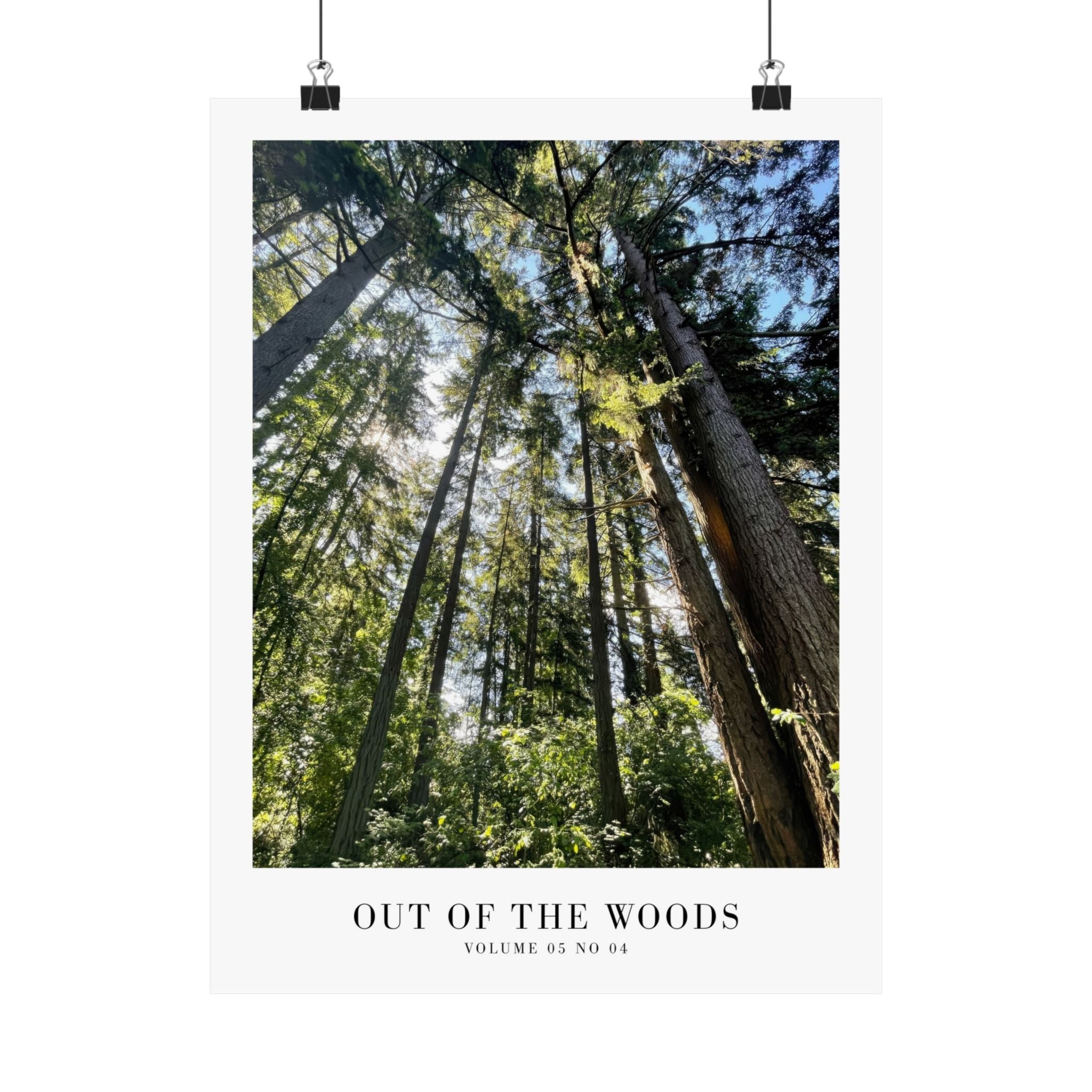 Out of the Woods Taylor Swift forest poster in dreamy woodland interior