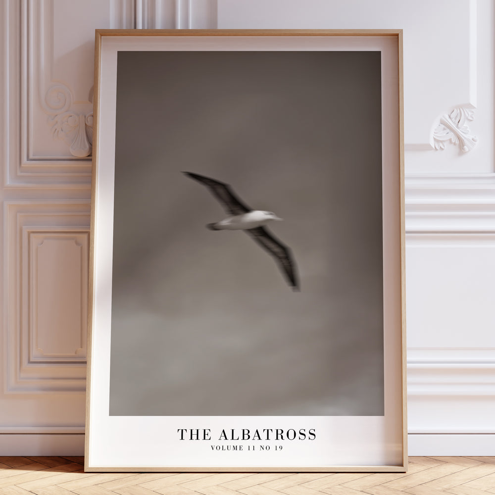 The Albatross Tortured Poets Department Taylor Swift–inspired poster wall art print
