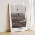 The Albatross Ocean Poster