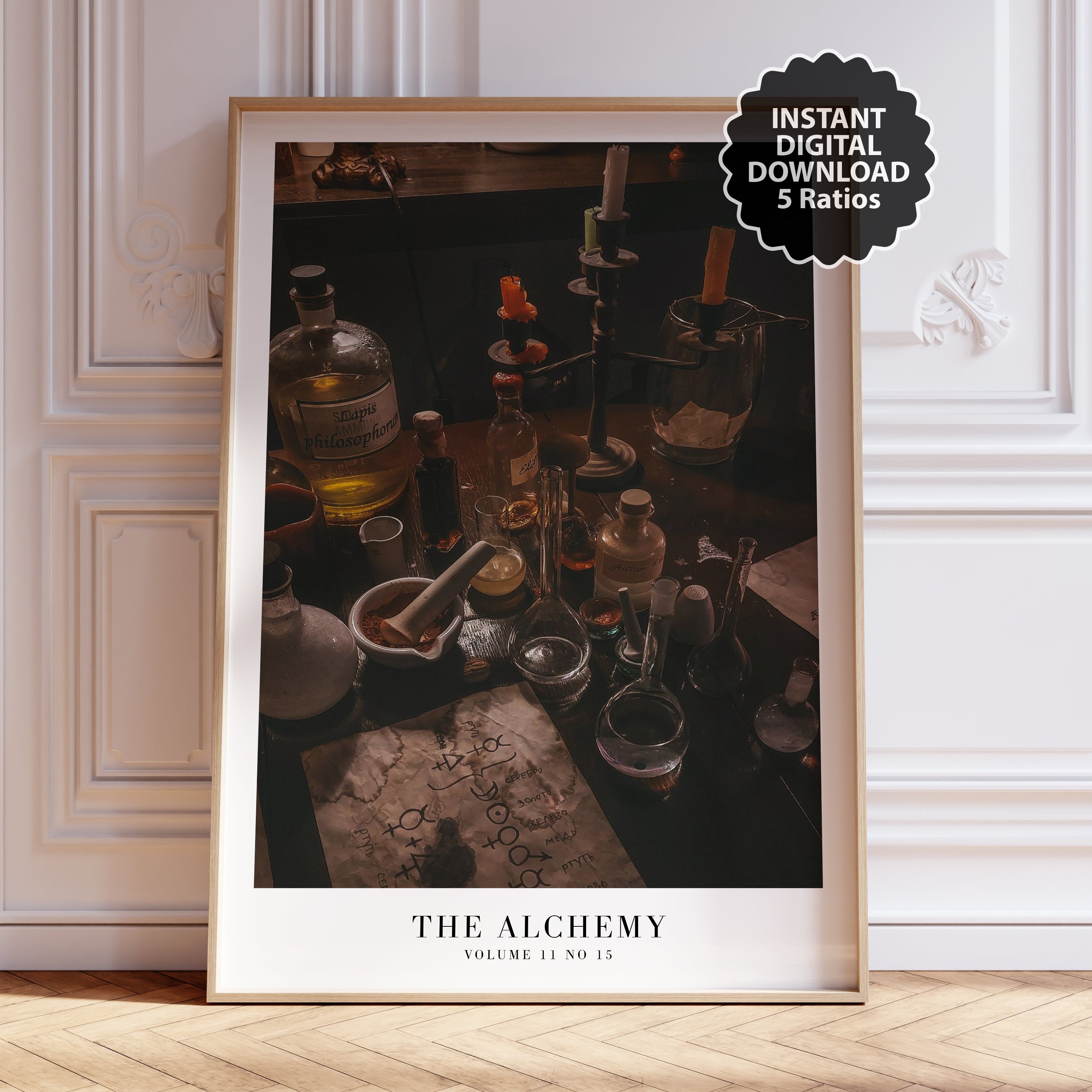 The Alchemy Lab Taylor Swift wall art in dark academia Swiftie gallery