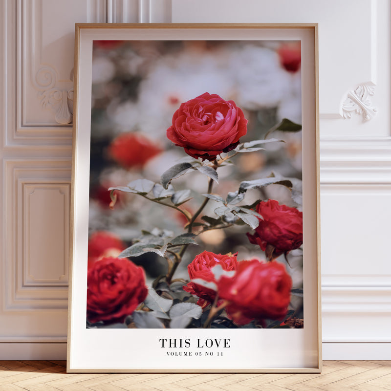 This Love 1989 Taylor Swift poster featuring romantic red rose photography