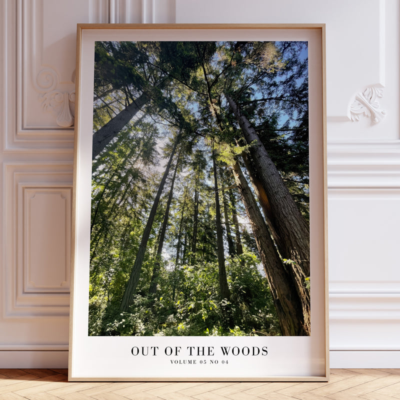 Out of the Woods 1989 Taylor Swift poster featuring towering evergreen forest