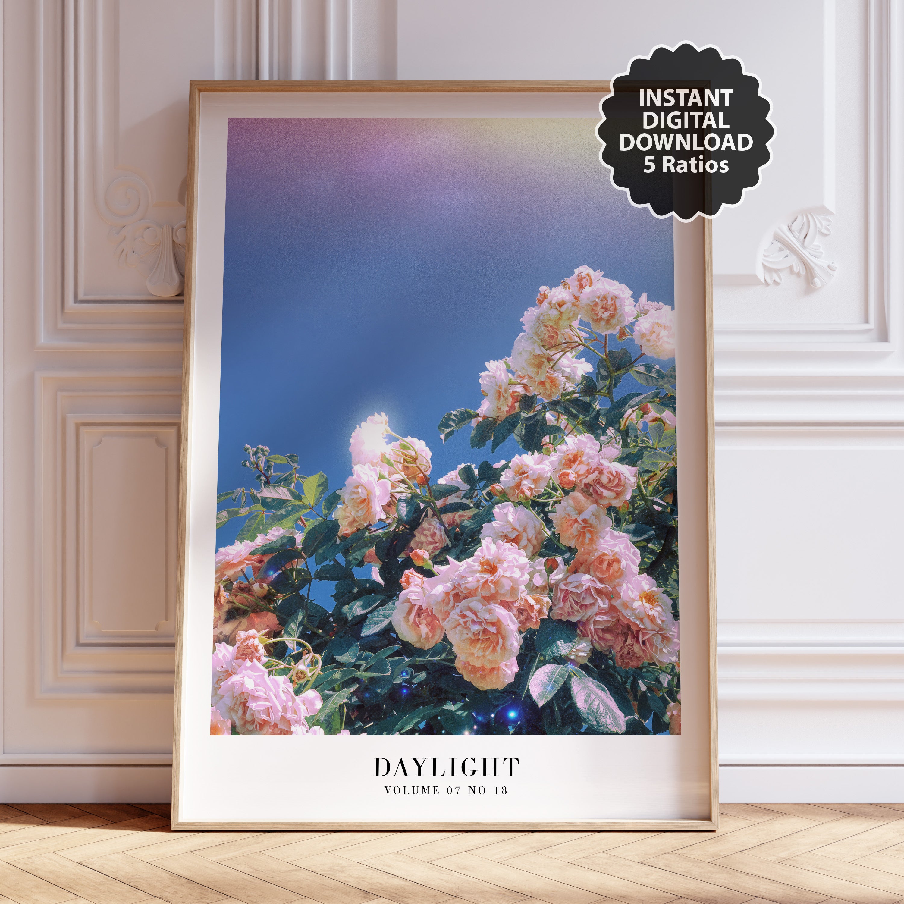 Lover-era Daylight pink rose poster in cozy romantic dorm room