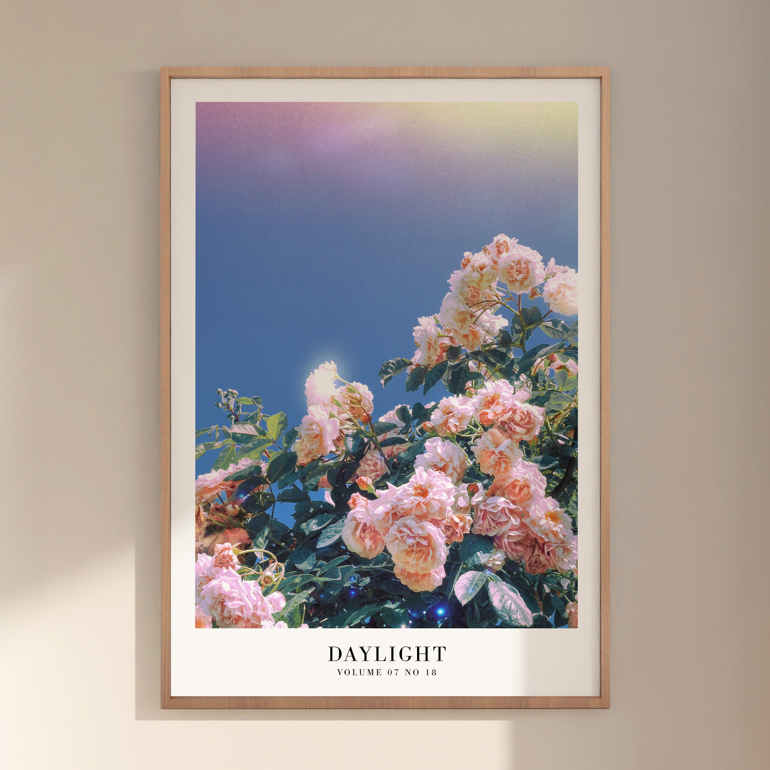 Daylight rose Taylor Swift Swiftie poster as romantic gift wall decor