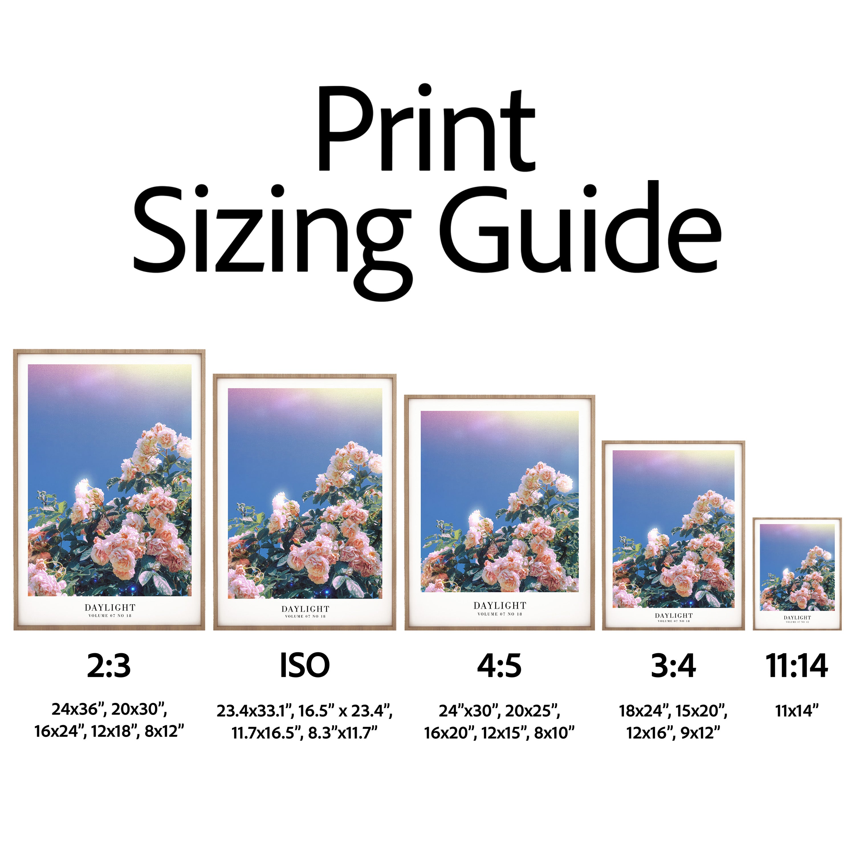 Daylight Taylor Swift floral wall art in cozy pastel Swiftie gallery