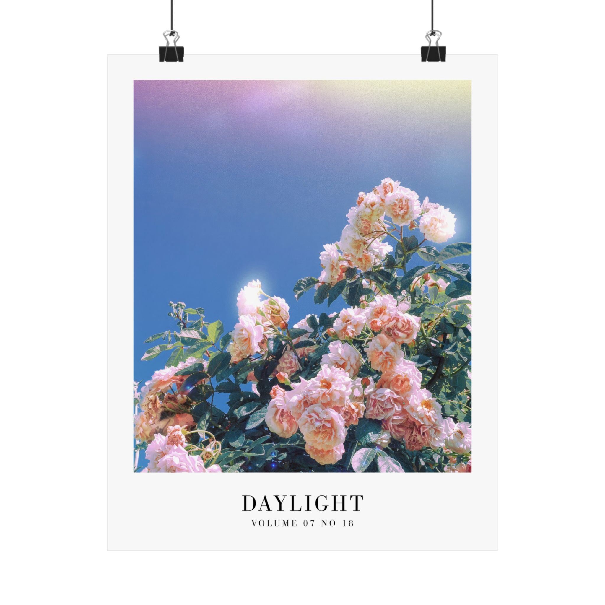 Lover Daylight rose wall art in dreamy pastel Swiftie gallery wall