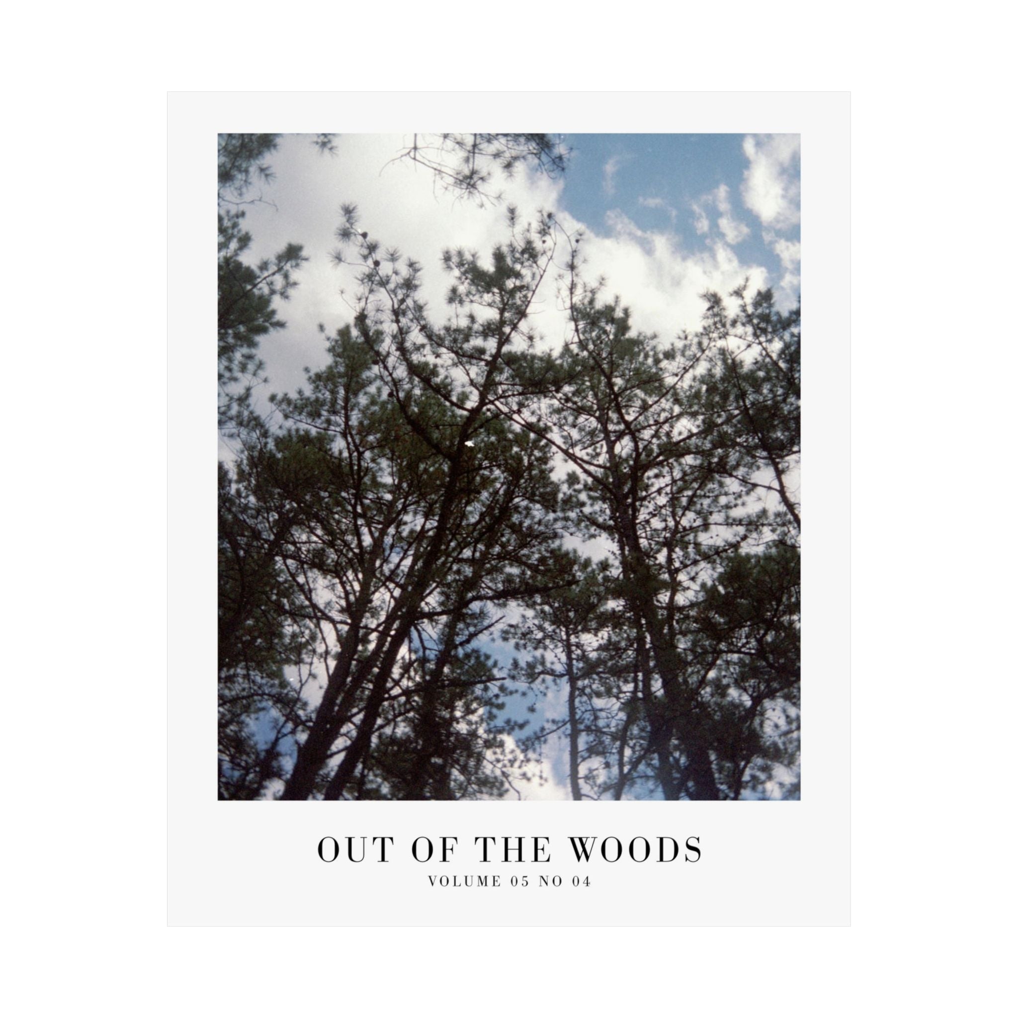 Out of the Woods Taylor Swift pine forest poster in calming bedroom