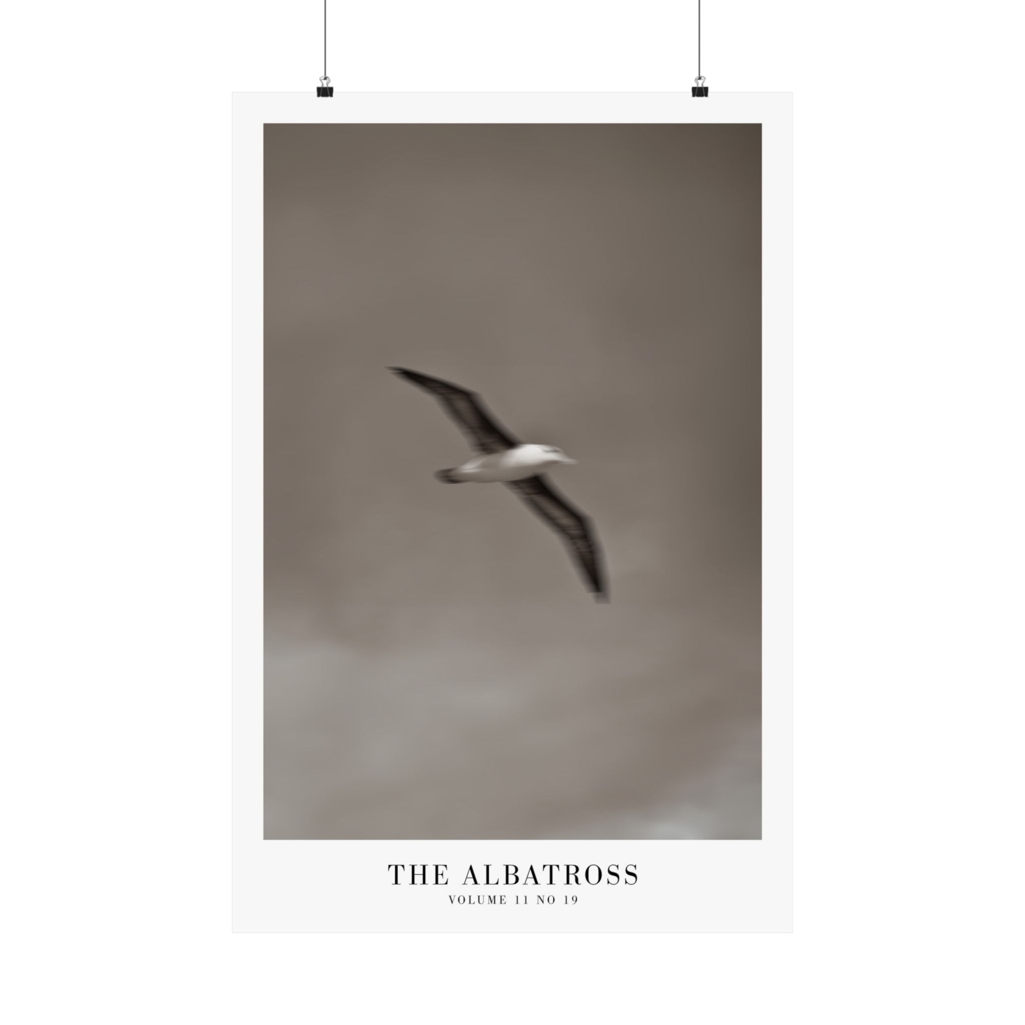 The Albatross Tortured Poets Department Taylor Swift–inspired poster — detail view 9