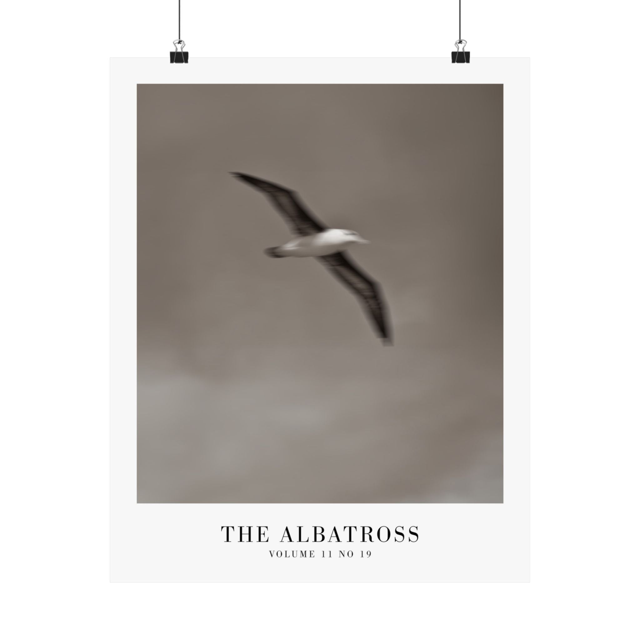 The Albatross Tortured Poets Department Taylor Swift–inspired poster — detail view 5