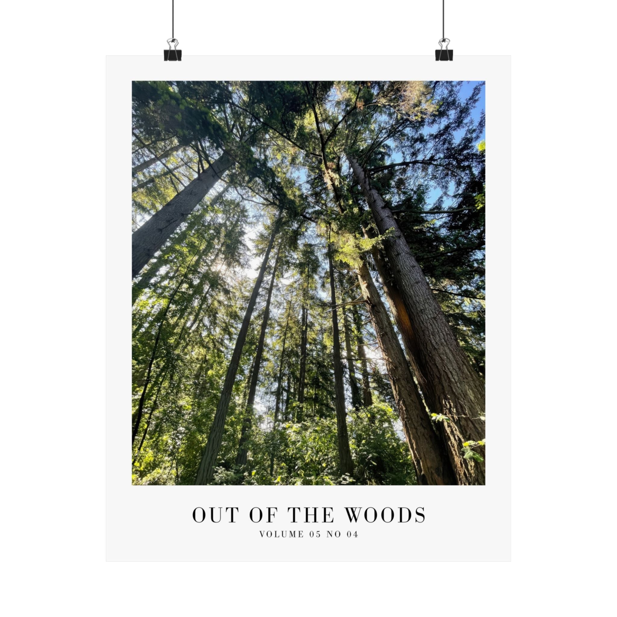Out of the Woods Taylor Swift wall art in cozy Swiftie reading nook