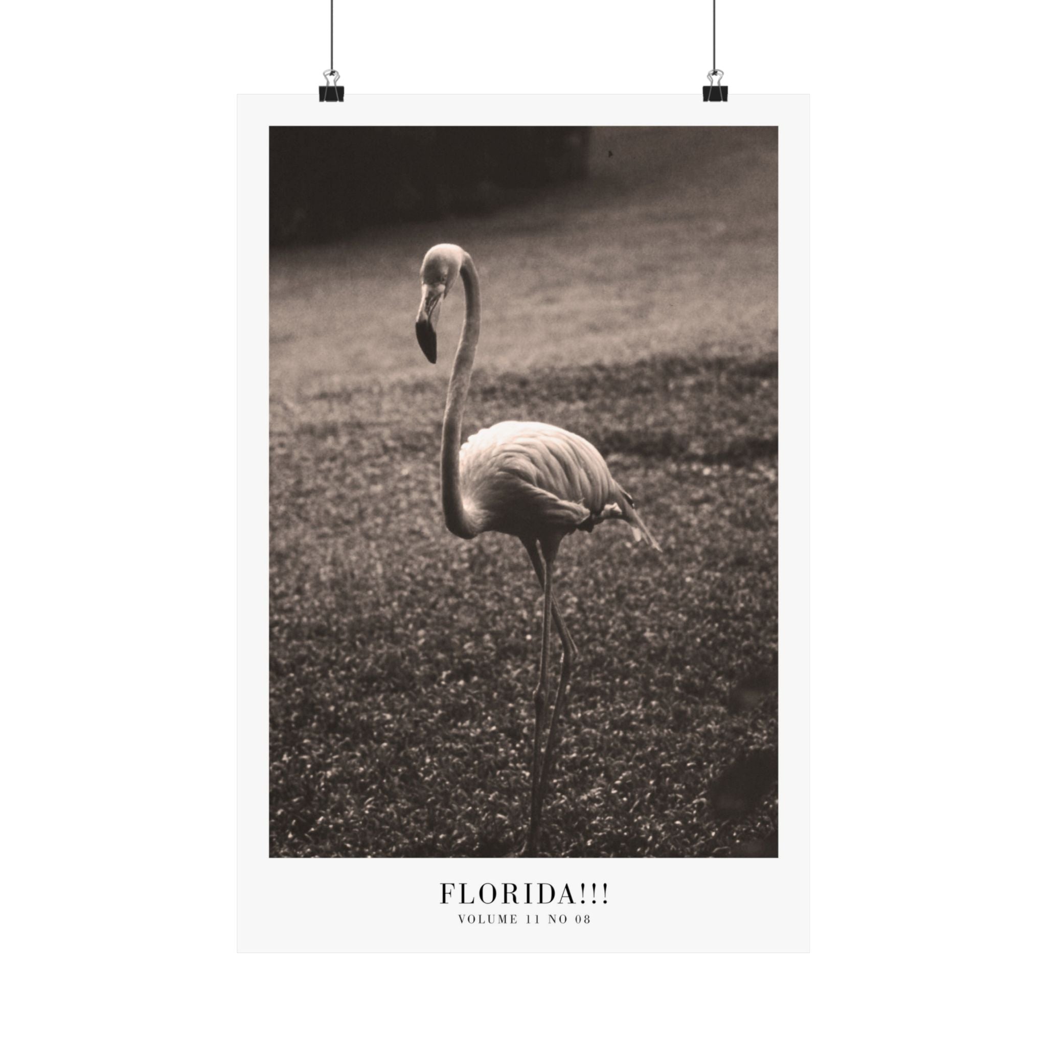 Florida!!! Tortured Poets Department Taylor Swift–inspired poster — detail view 5