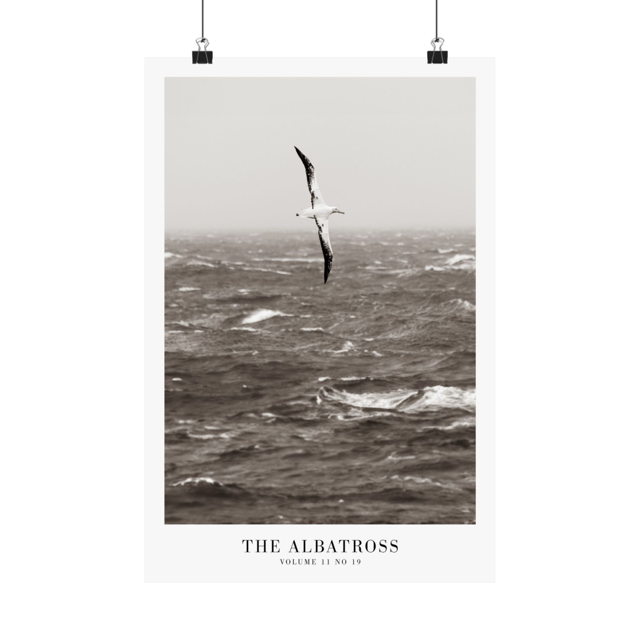 The Albatross Tortured Poets Department Taylor Swift–inspired poster ocean