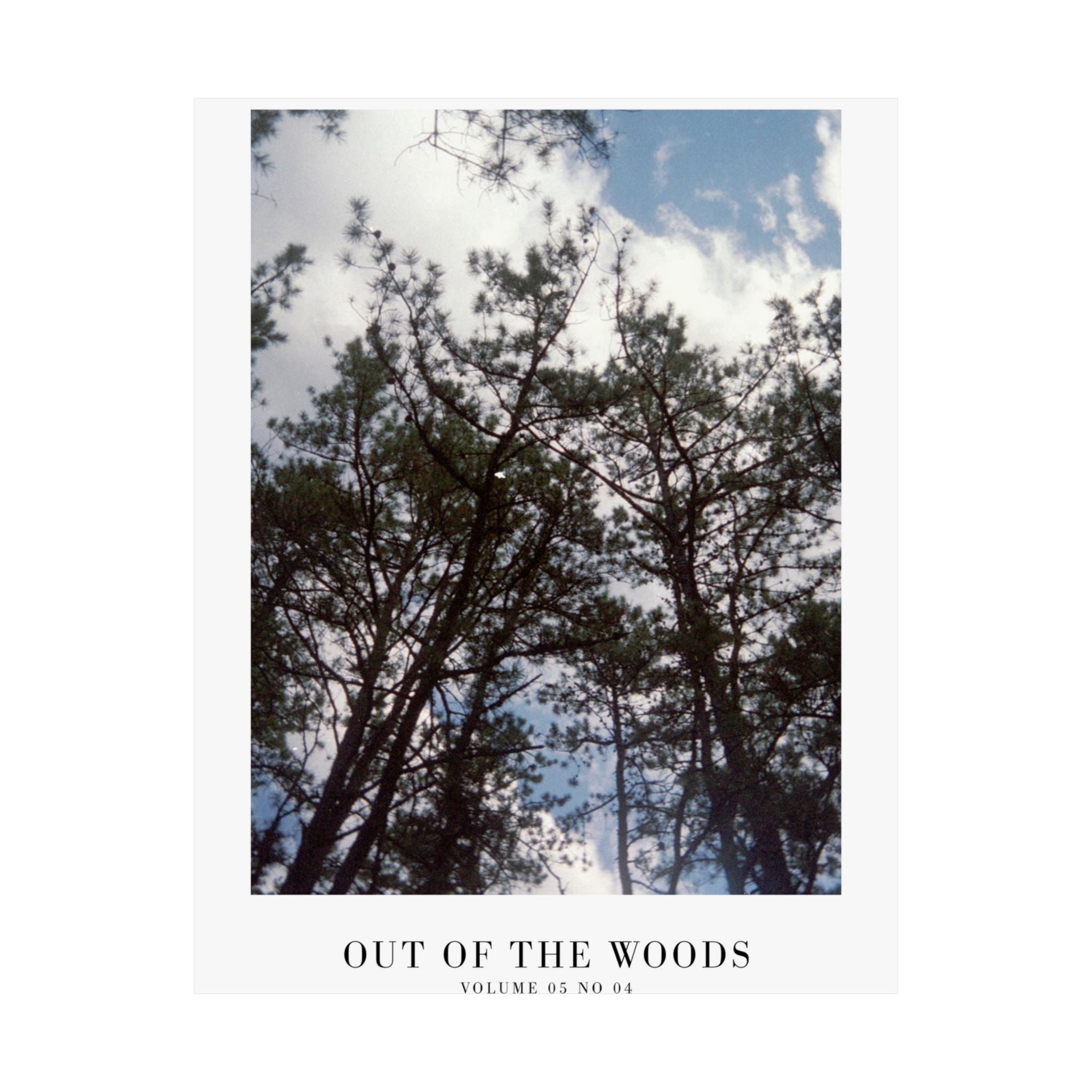 1989 Out of the Woods Swiftie print as woodland gift wall decor