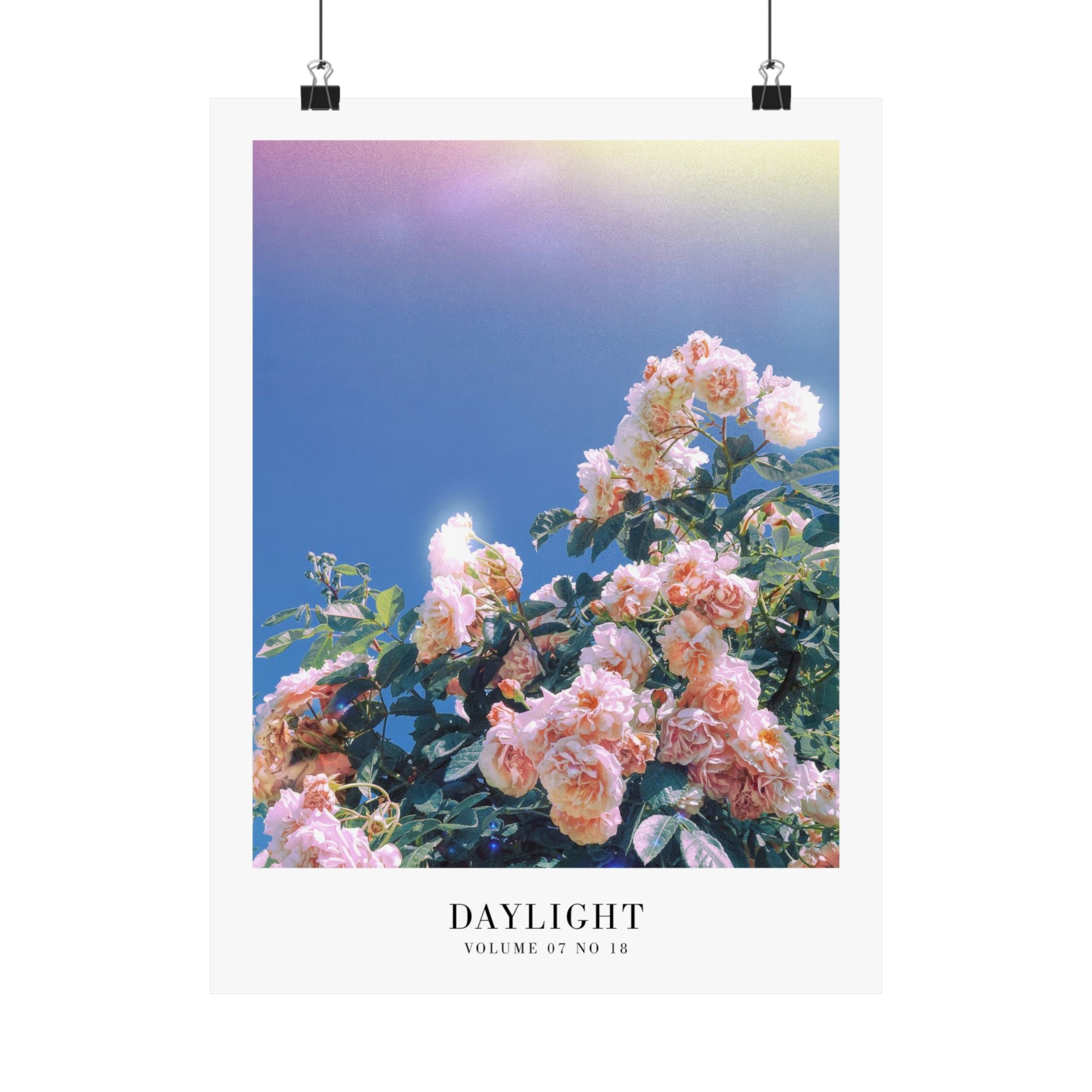 Daylight Taylor Swift pink roses print in romantic feminine apartment