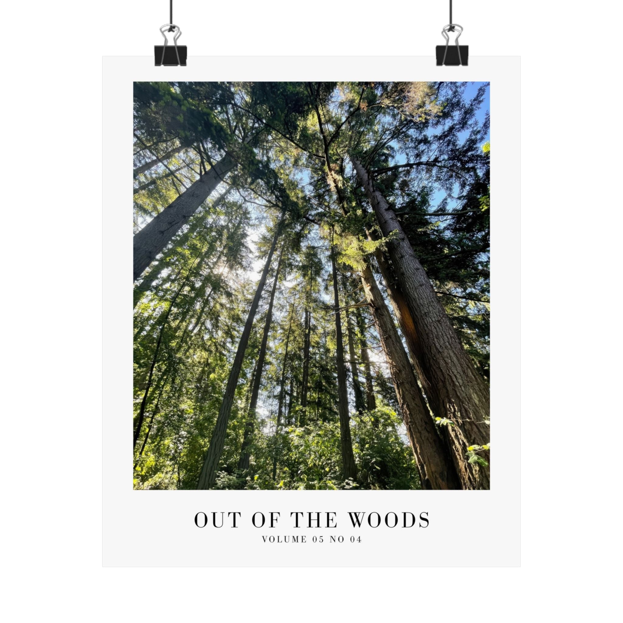 Out of the Woods Taylor Swift print displayed in earthy forest gallery wall