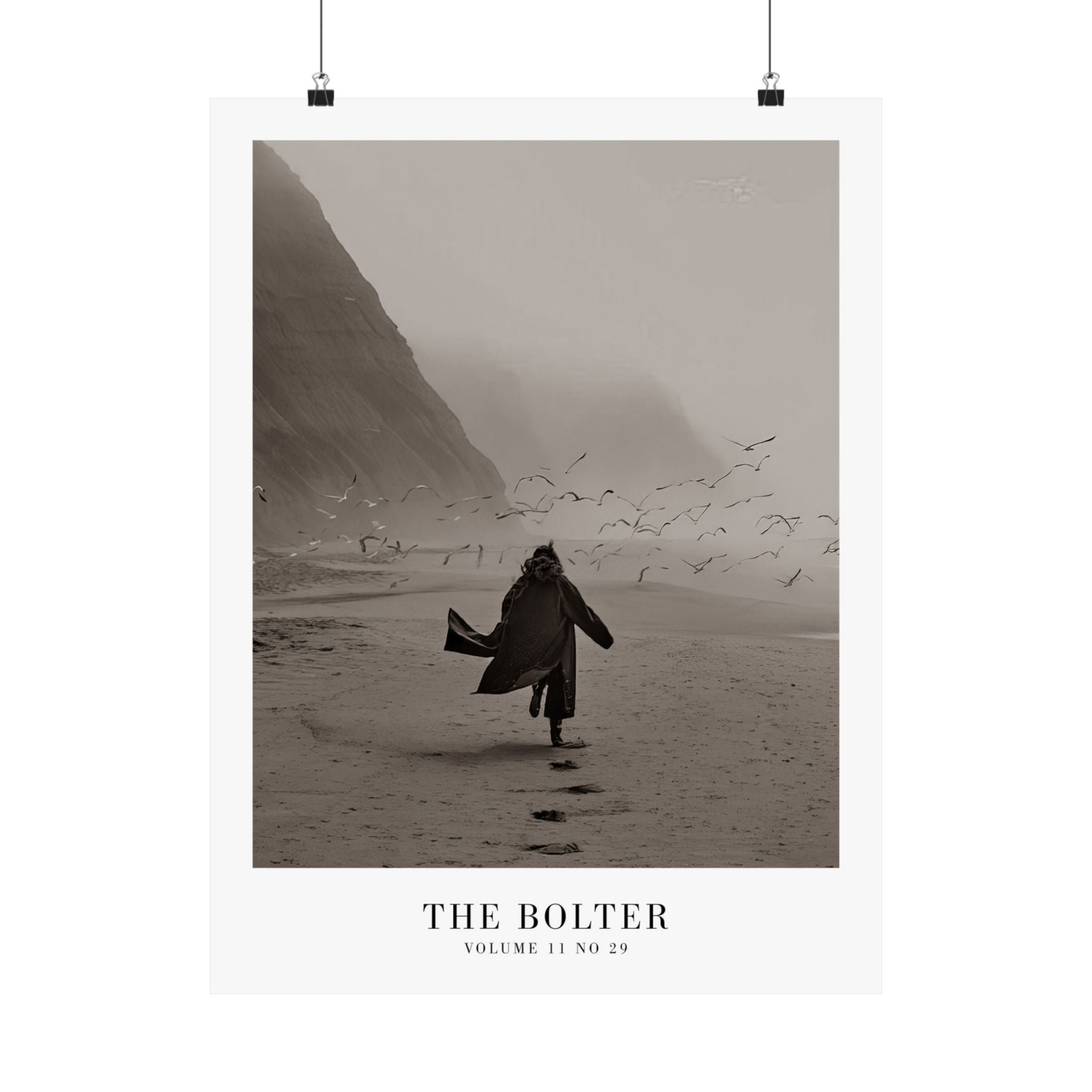 The Bolter Tortured Poets Department Taylor Swift–inspired poster featuring beach