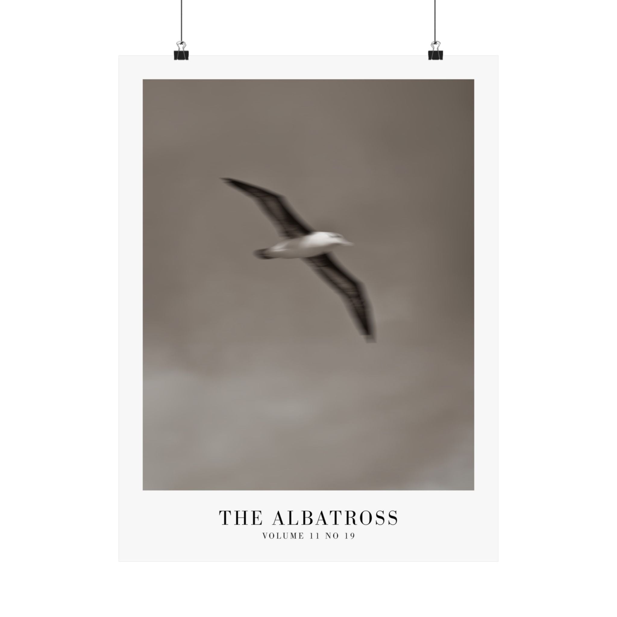 The Albatross Tortured Poets Department Taylor Swift–inspired poster — detail view 7