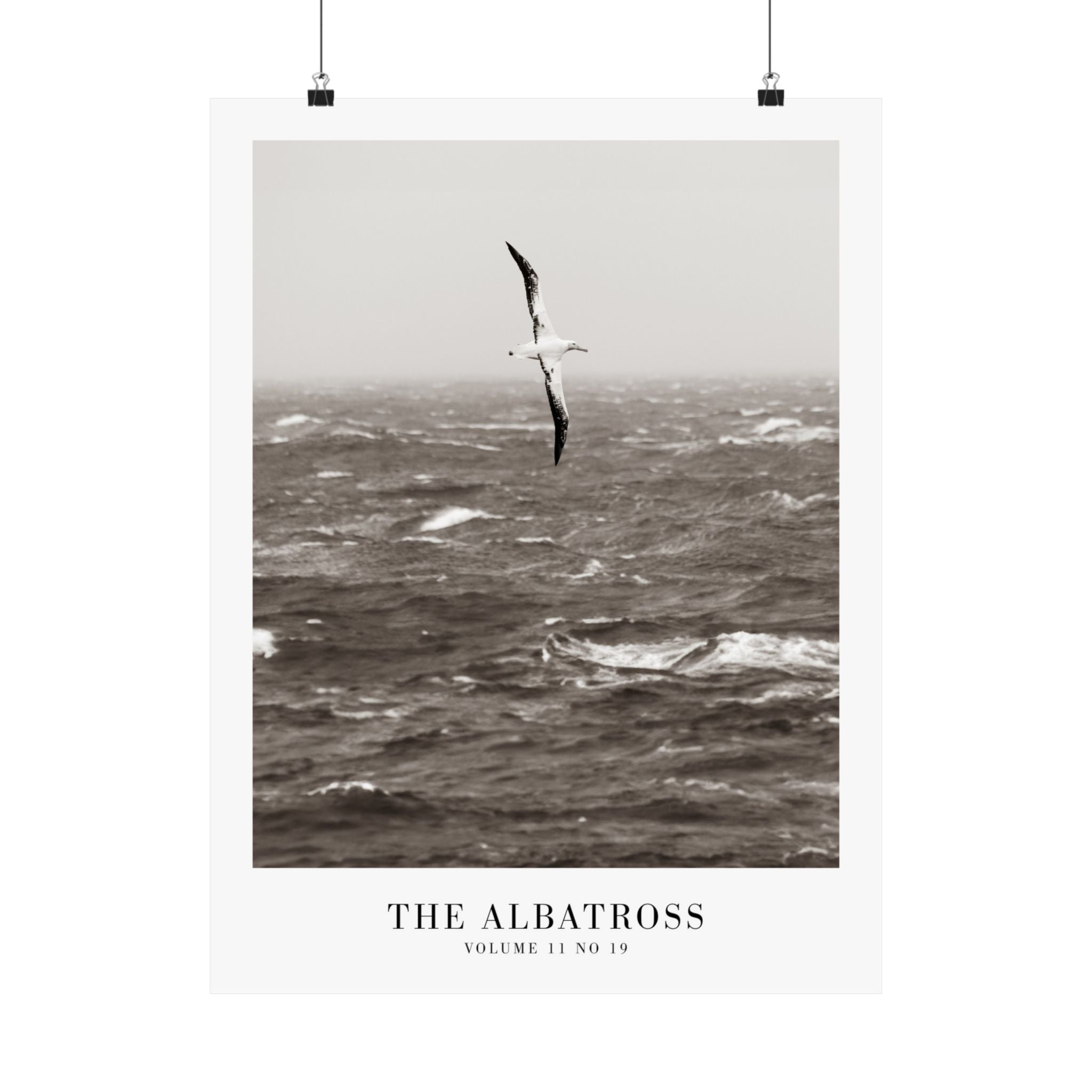 The Albatross Tortured Poets Department Taylor Swift–inspired poster ocean