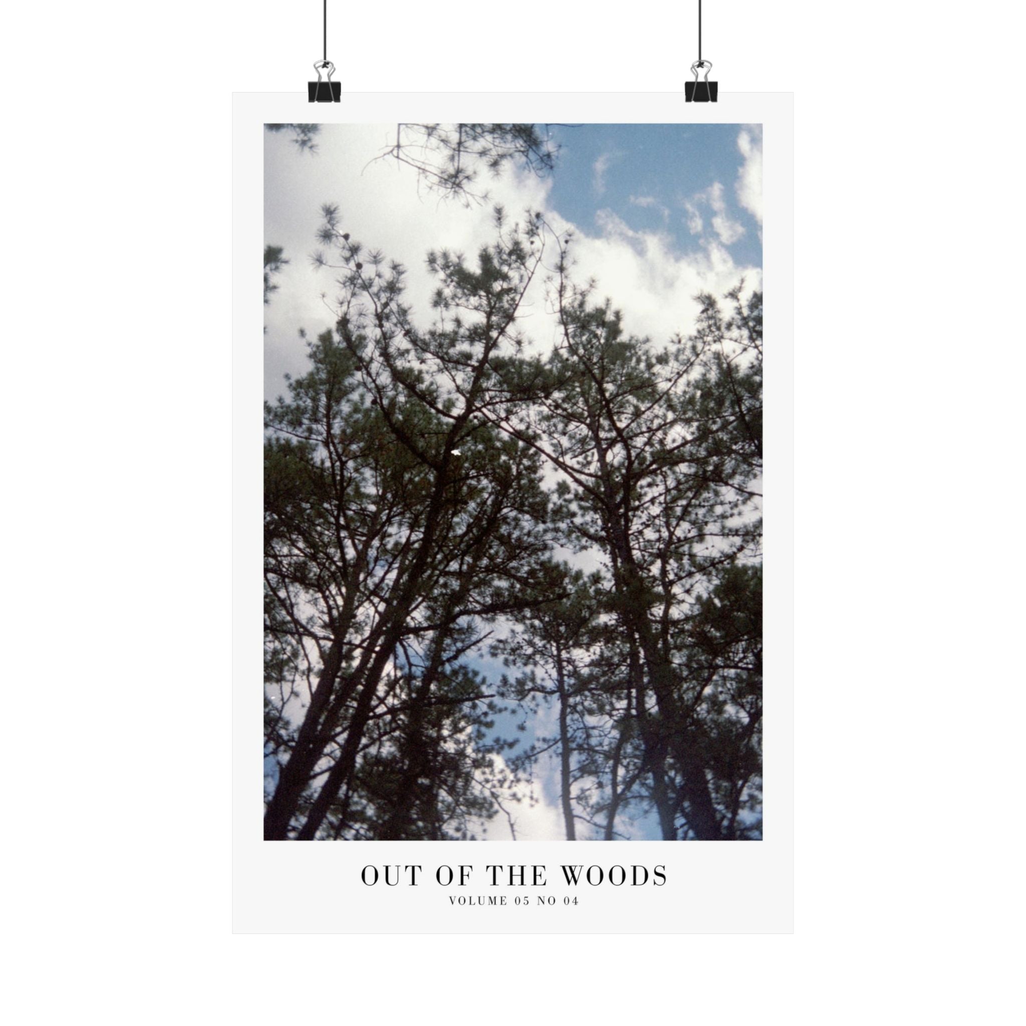 Out of the Woods 1989 pine forest print in soft earthy bedroom decor