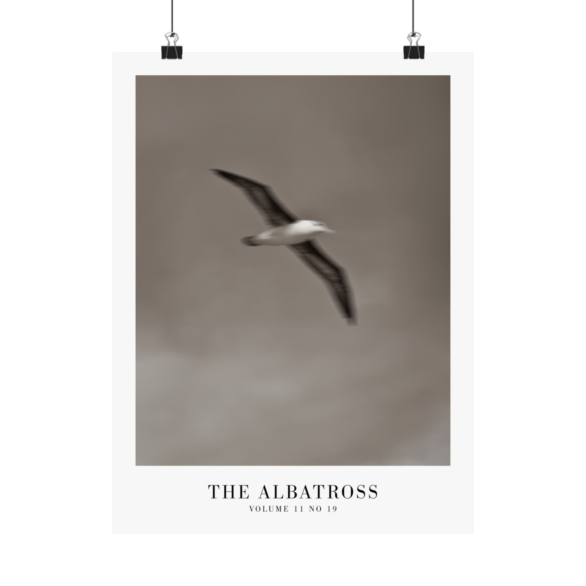 The Albatross Tortured Poets Department Taylor Swift–inspired poster — detail view 3