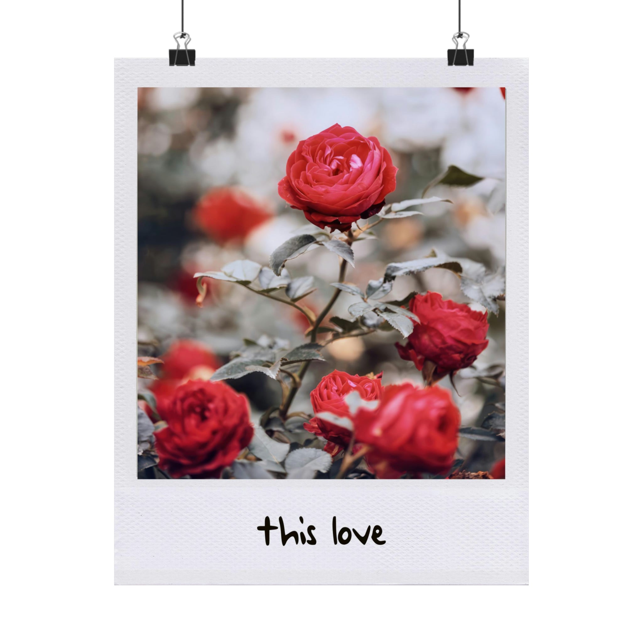 This Love Rose 1989 Polaroid Print