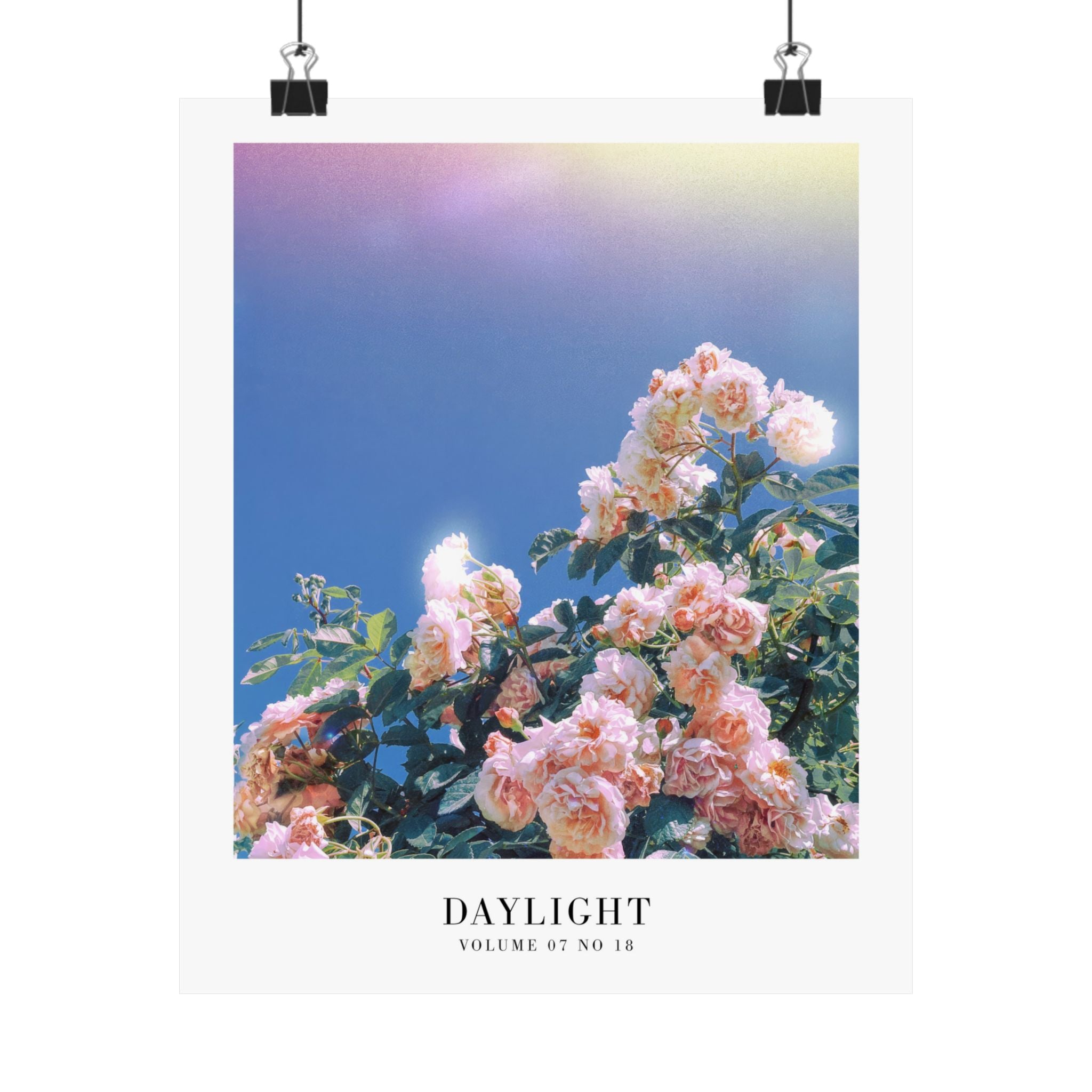 Daylight Taylor Swift floral print displayed in soft girl bedroom decor