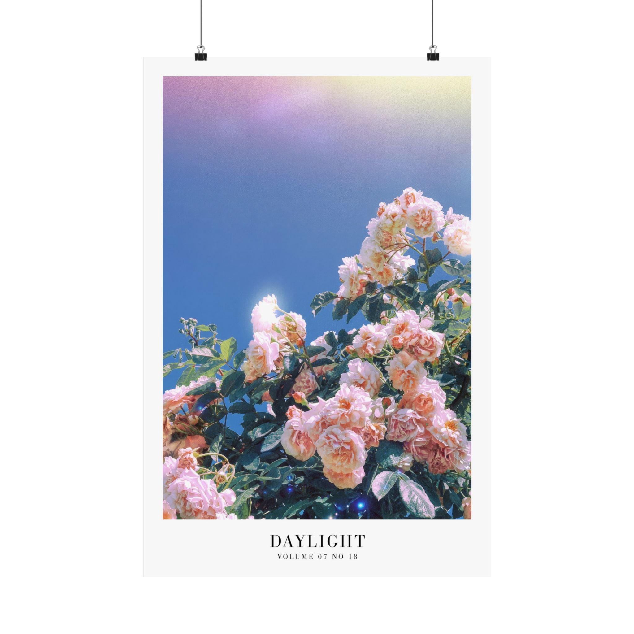 Daylight Taylor Swift wall art in soft sunlit gallery wall display