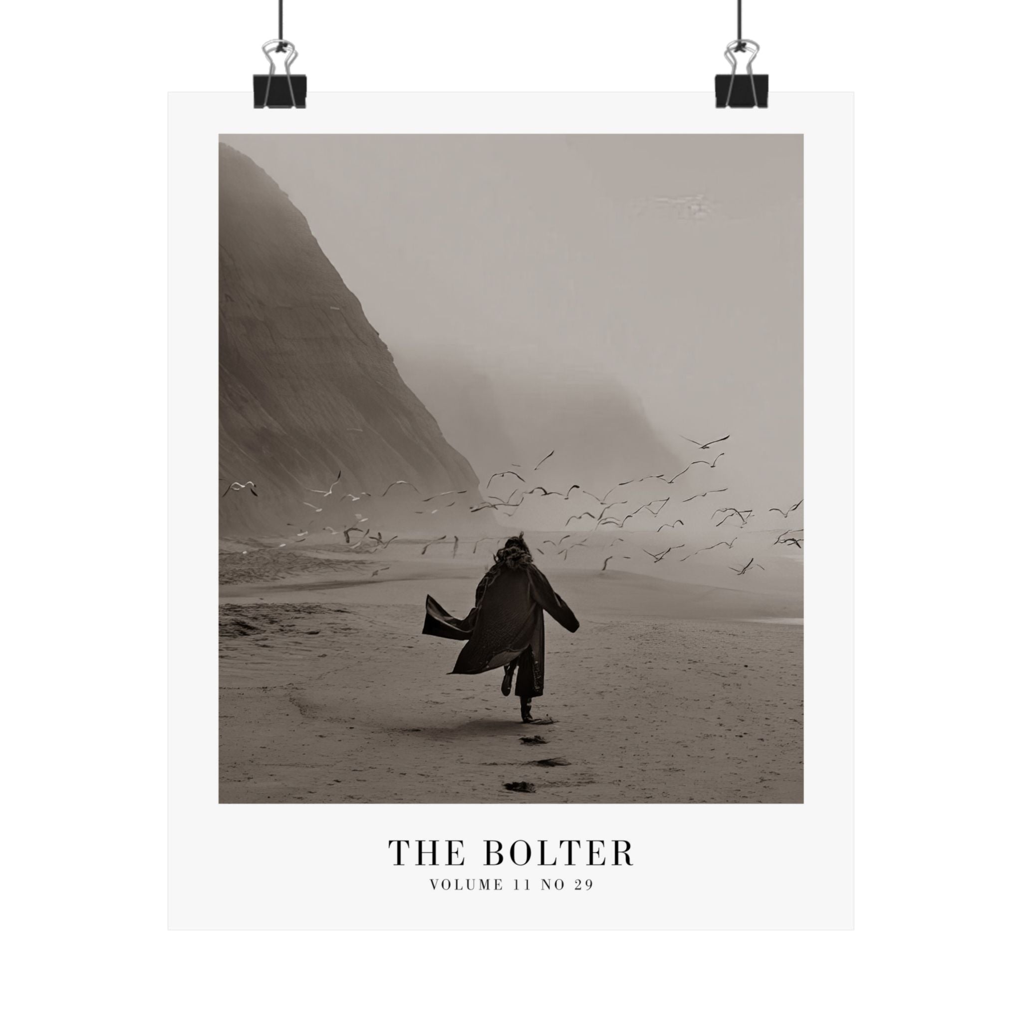 The Bolter Tortured Poets Department Taylor Swift–inspired poster featuring beach